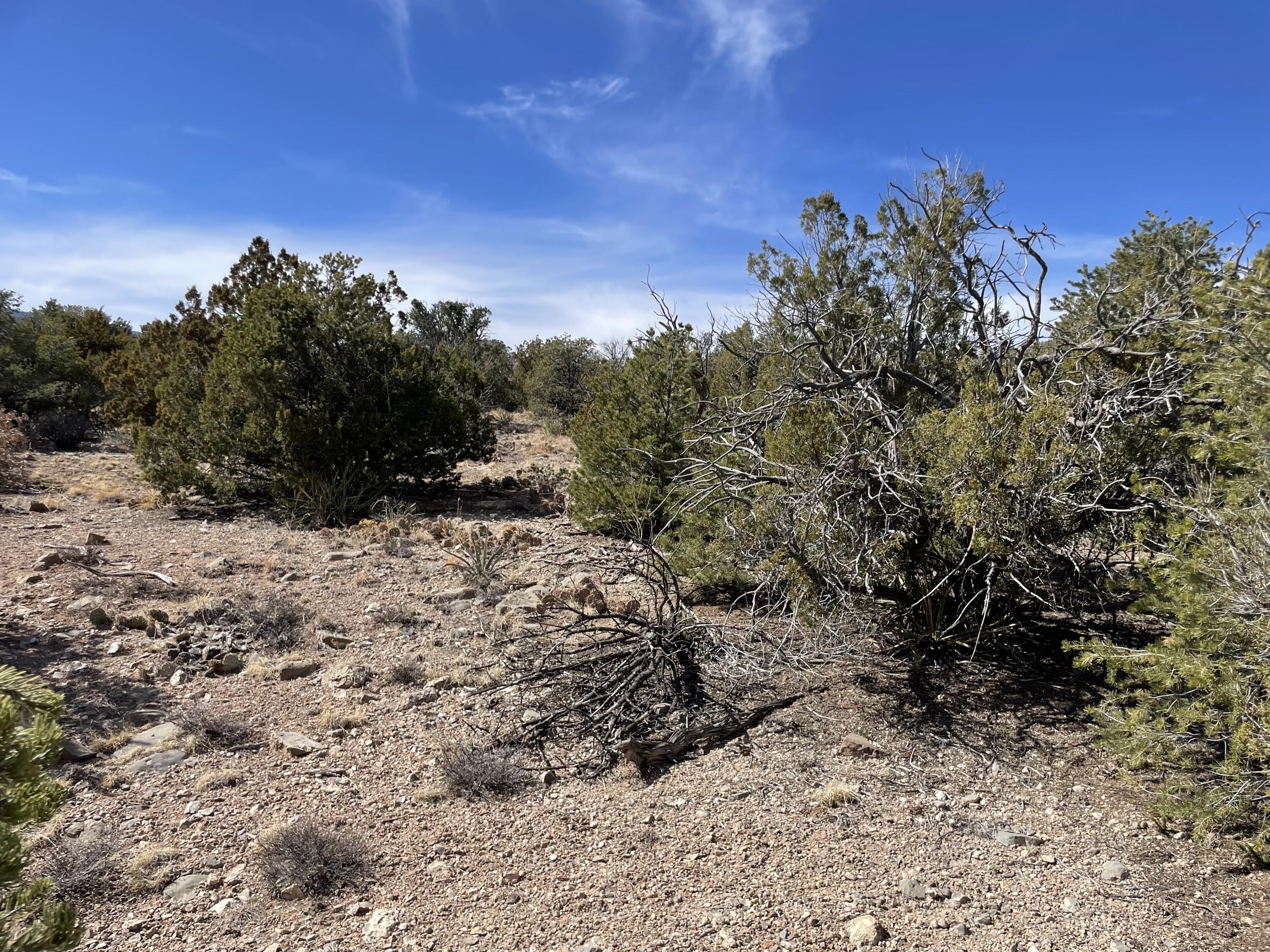 91 Rain Dance Road, Sandia Park, New Mexico image 13