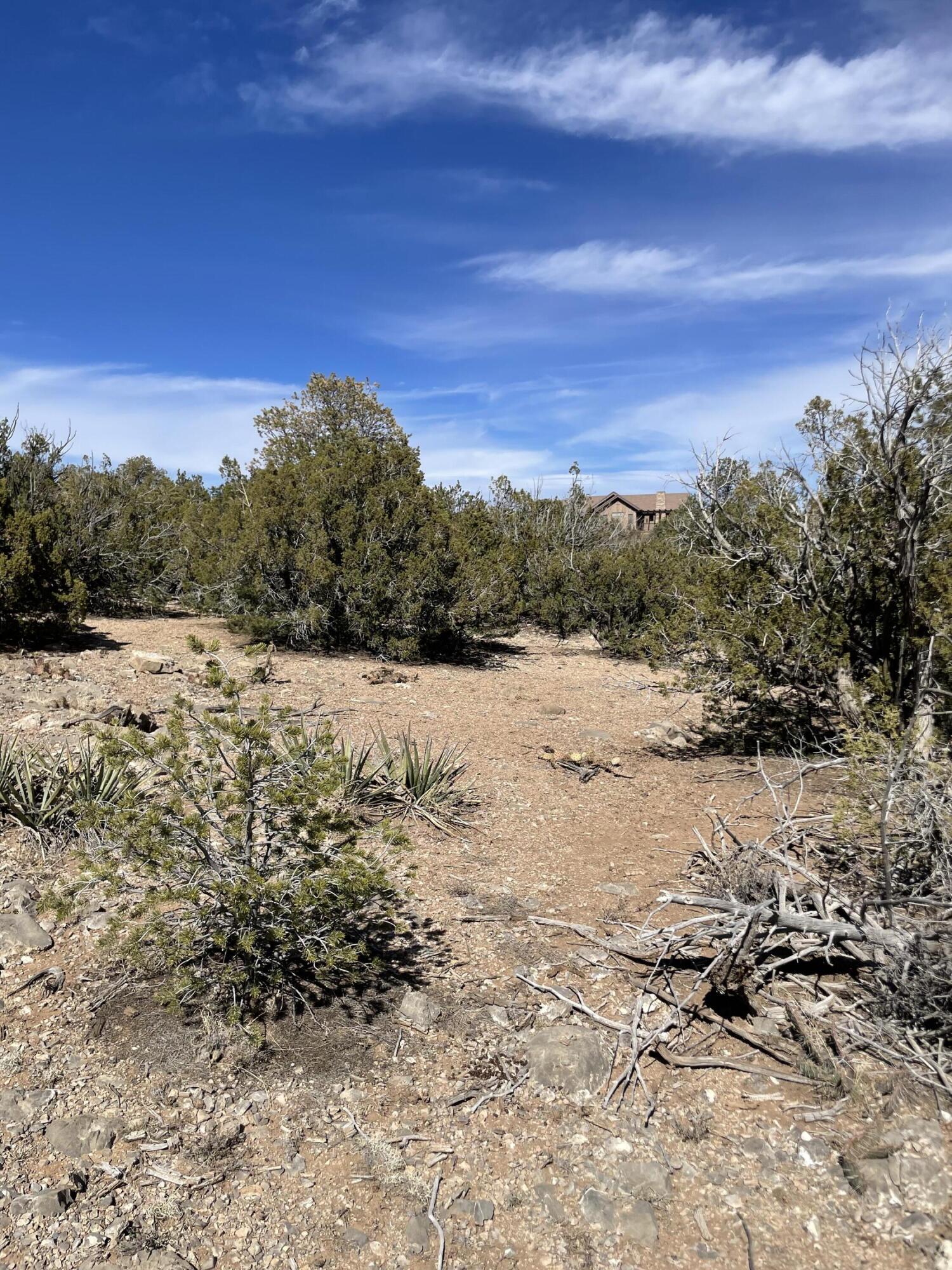 91 Rain Dance Road, Sandia Park, New Mexico image 22