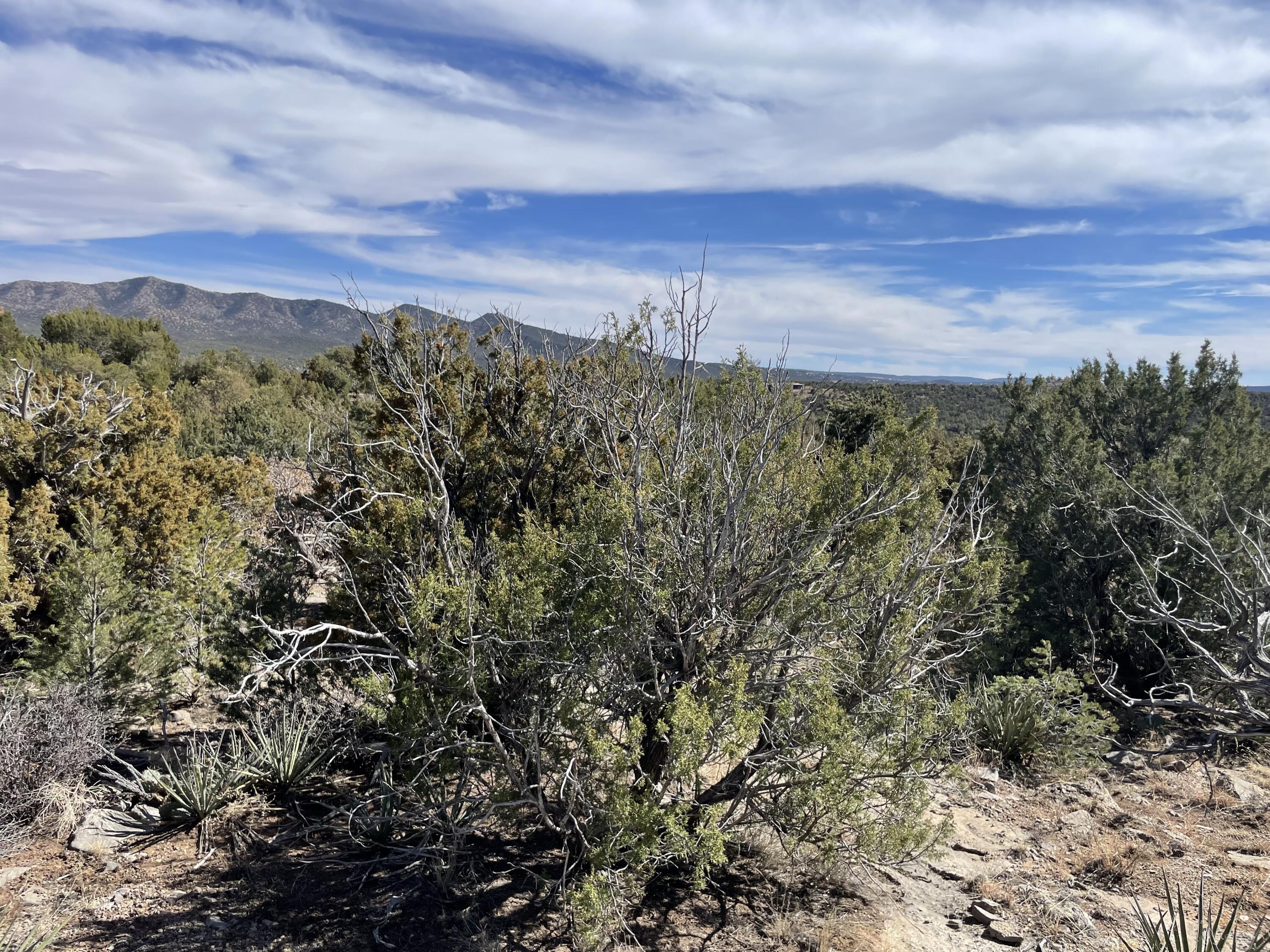 91 Rain Dance Road, Sandia Park, New Mexico image 19