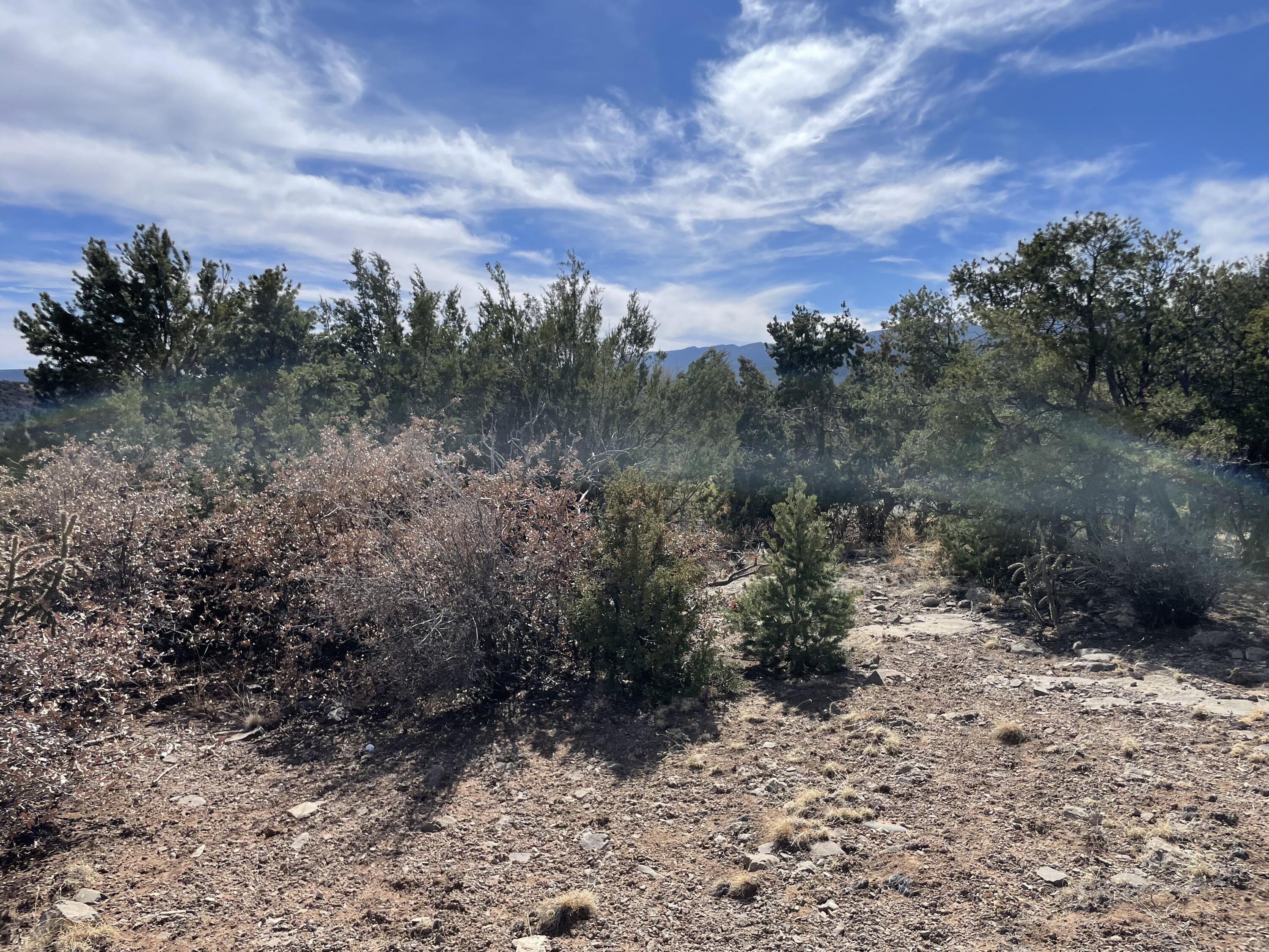91 Rain Dance Road, Sandia Park, New Mexico image 10