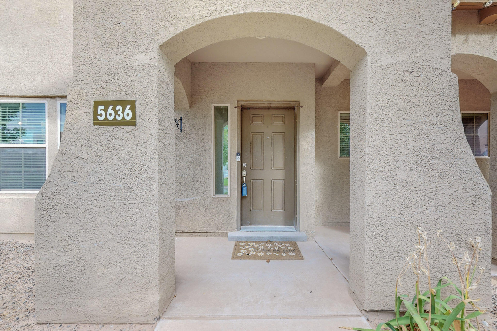 5636 Sagan Loop, Albuquerque, New Mexico image 3