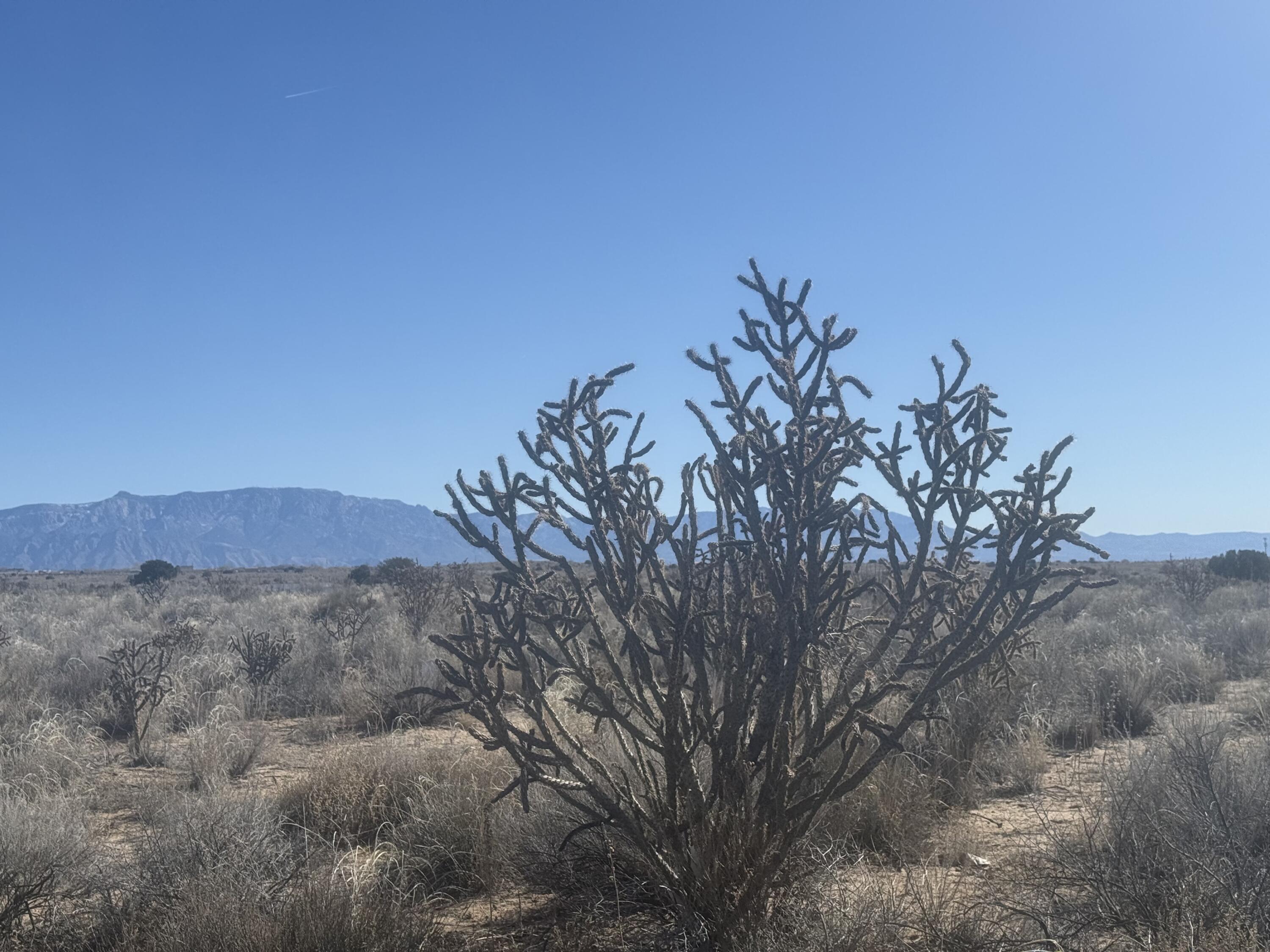 U8B41L16 Hidalgo Road SW