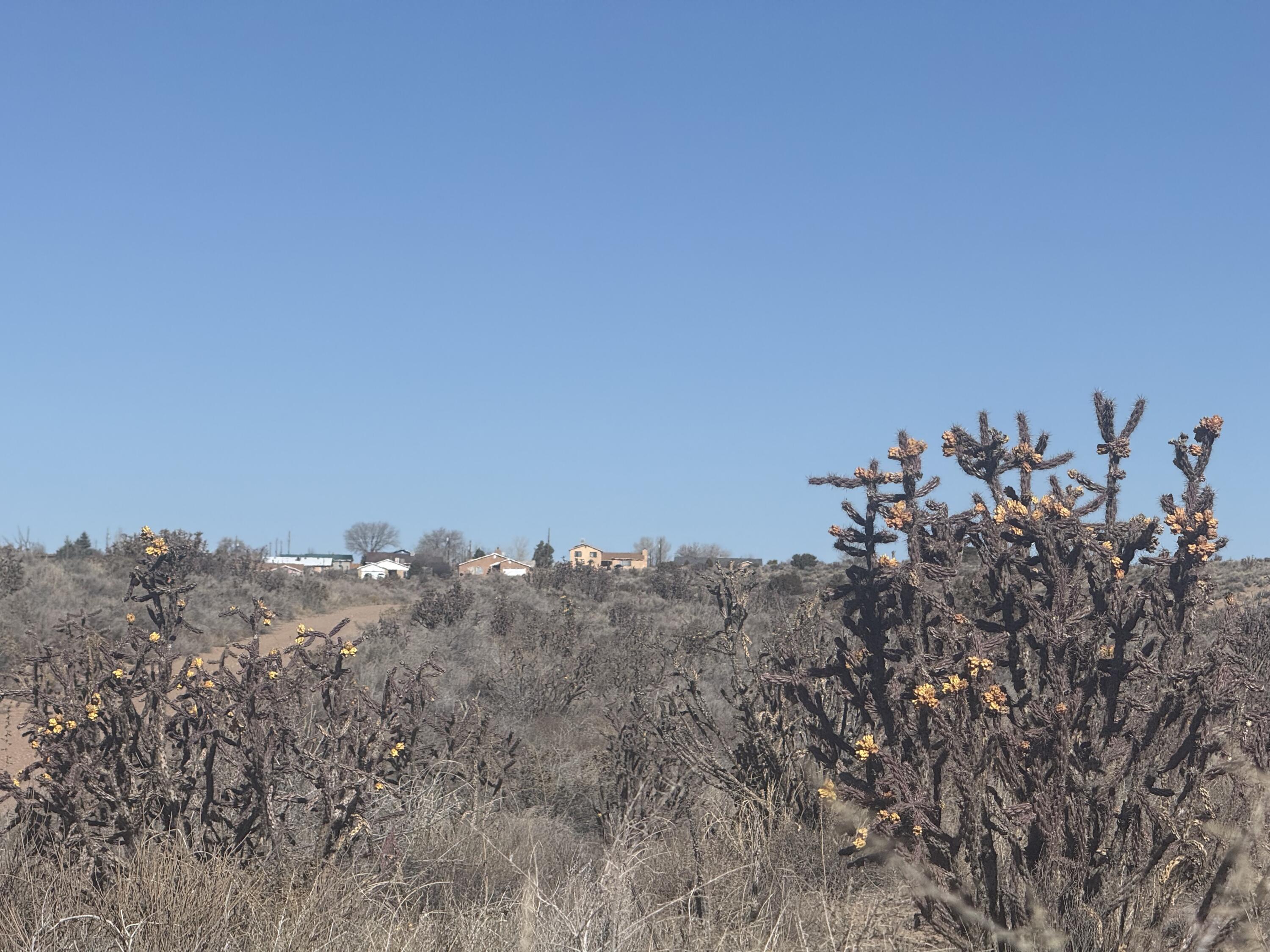 U8B41L16 Hidalgo Road SW