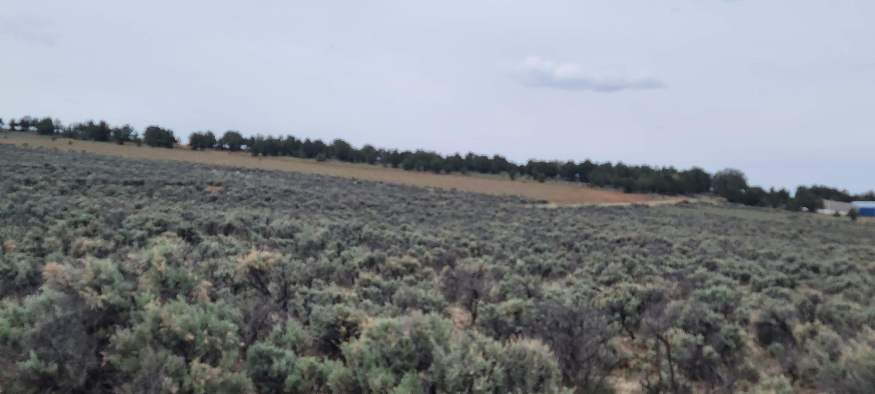 Unit 10 Tract 242 El Vado Lake Subd., Tierra Amarilla, New Mexico image 4