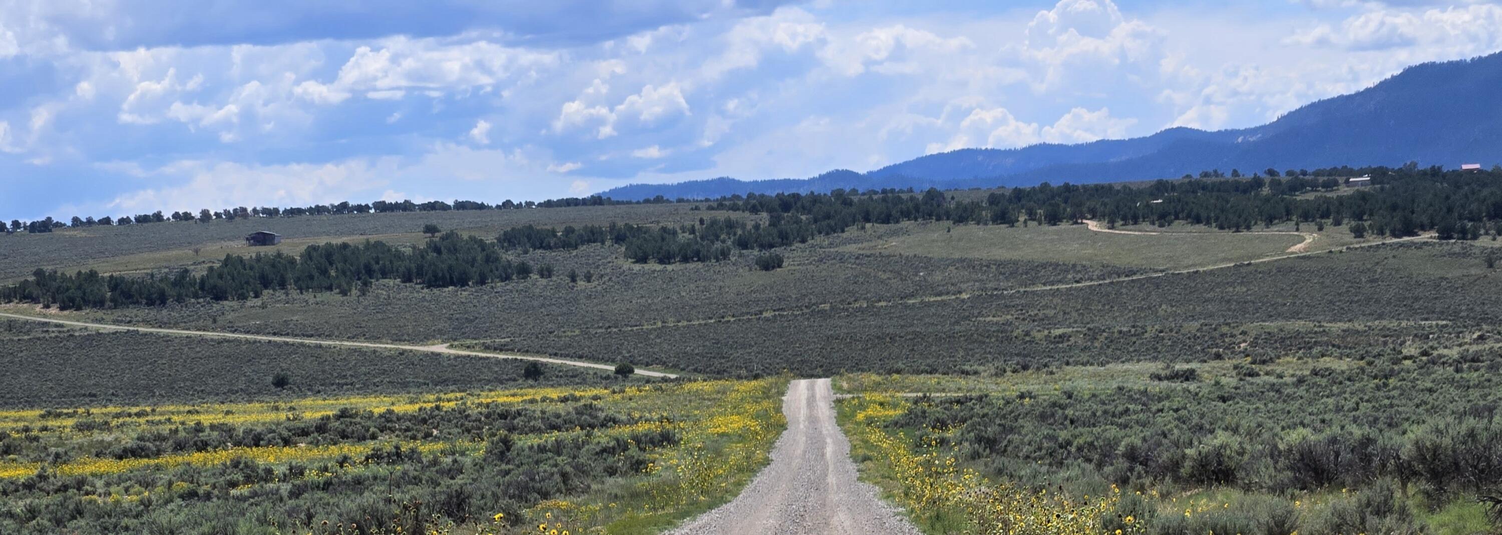 Unit 10 Tract 242 El Vado Lake Subd., Tierra Amarilla, New Mexico image 2