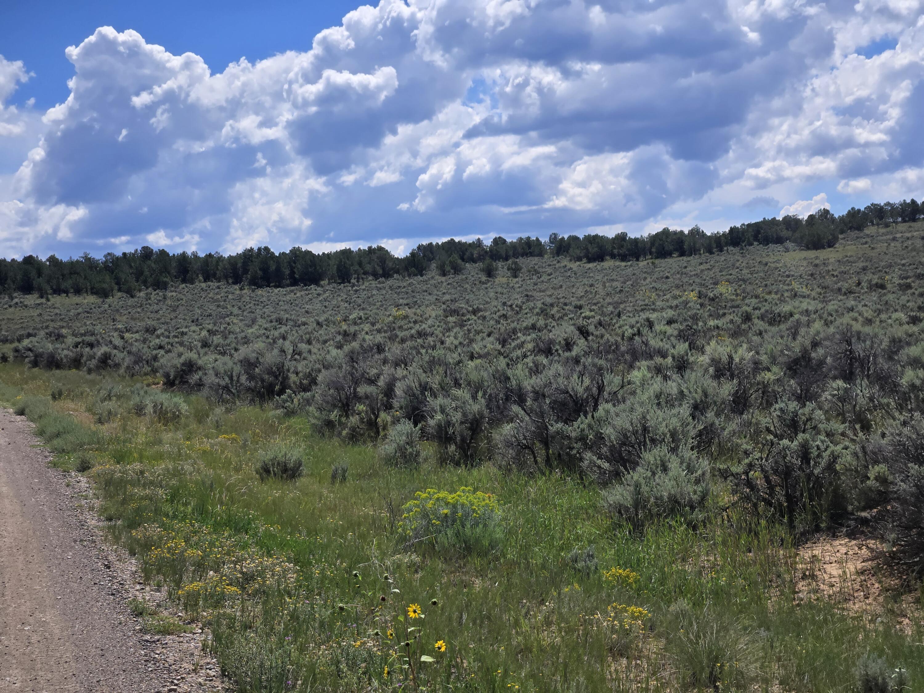 Unit 10 Tract 242 El Vado Lake Subd., Tierra Amarilla, New Mexico image 5