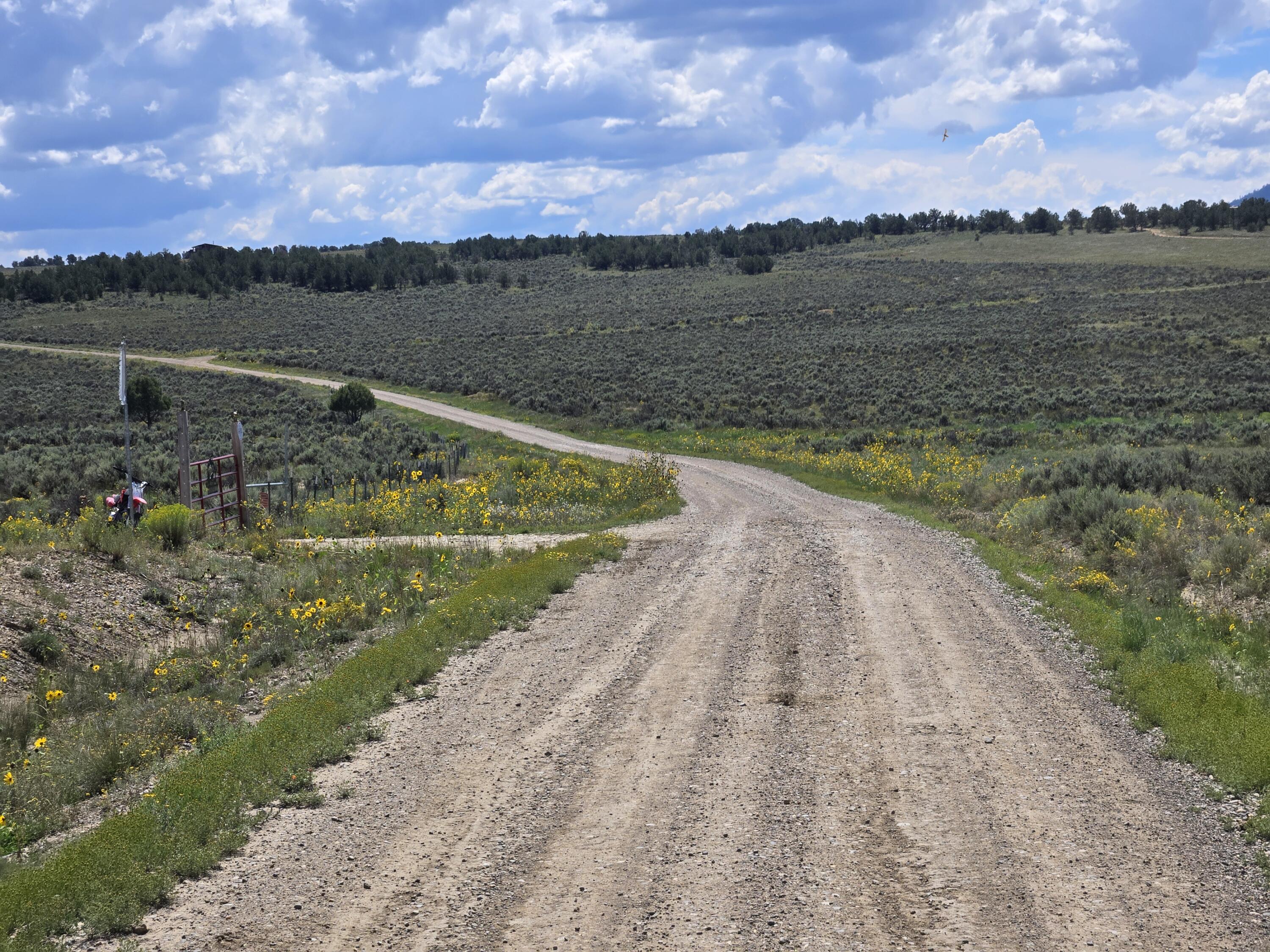 Unit 10 Tract 242 El Vado Lake Subd., Tierra Amarilla, New Mexico image 3