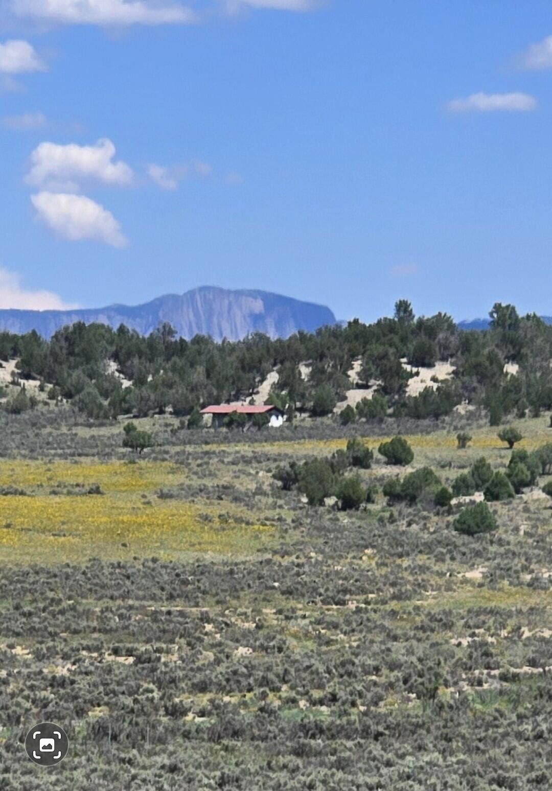 Unit 10 Tract 242 El Vado Lake Subd., Tierra Amarilla, New Mexico image 7