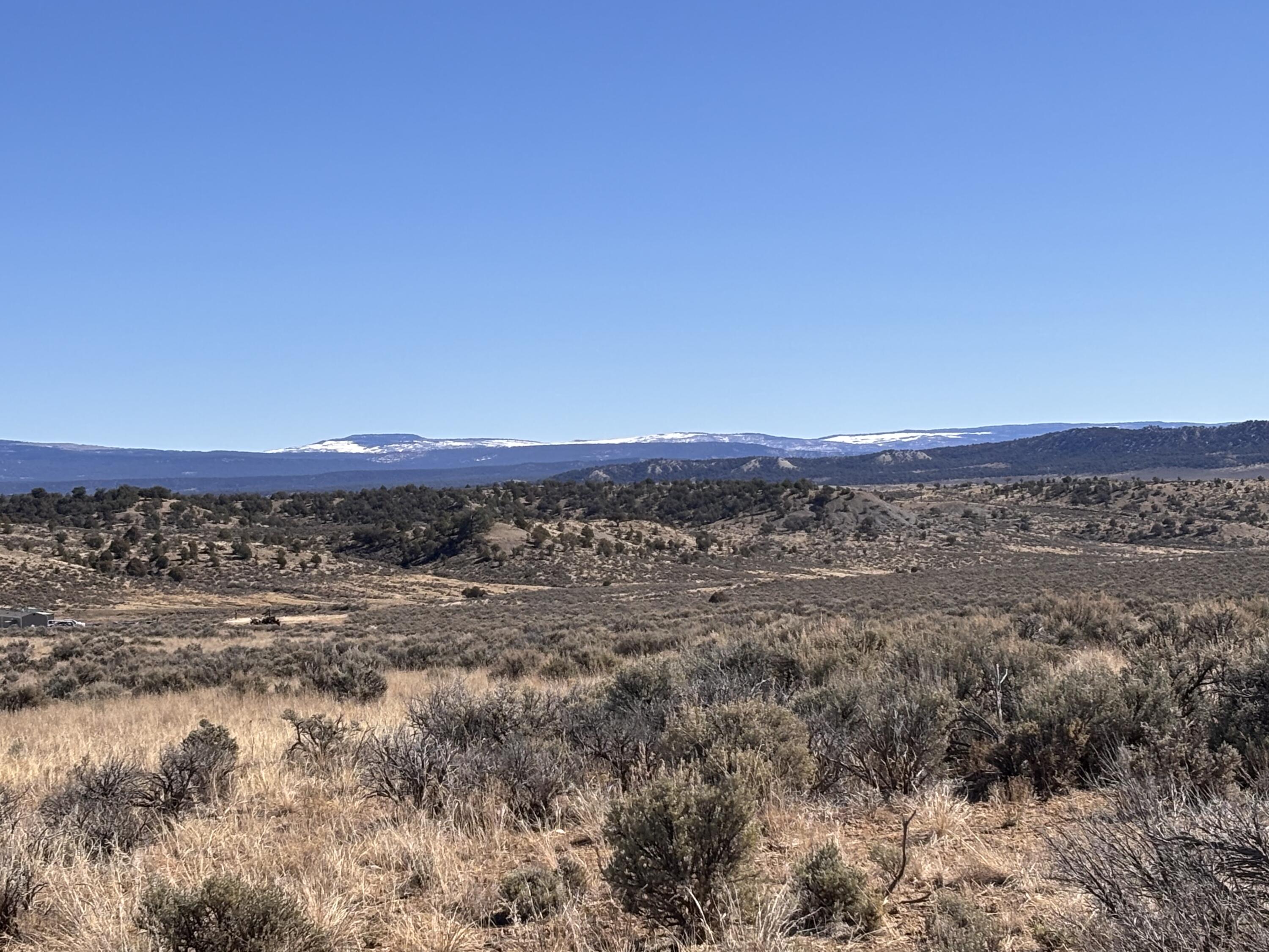 Unit 6 Lot 66 El Vado Lake Subd., Tierra Amarilla, New Mexico image 2