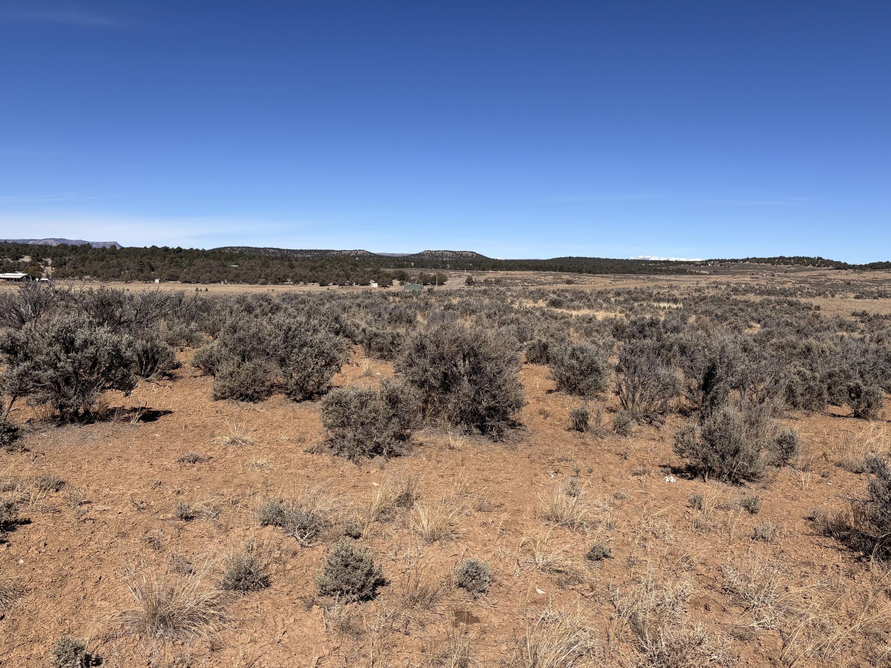 Unit 6 Lot 66 El Vado Lake Subd., Tierra Amarilla, New Mexico image 6