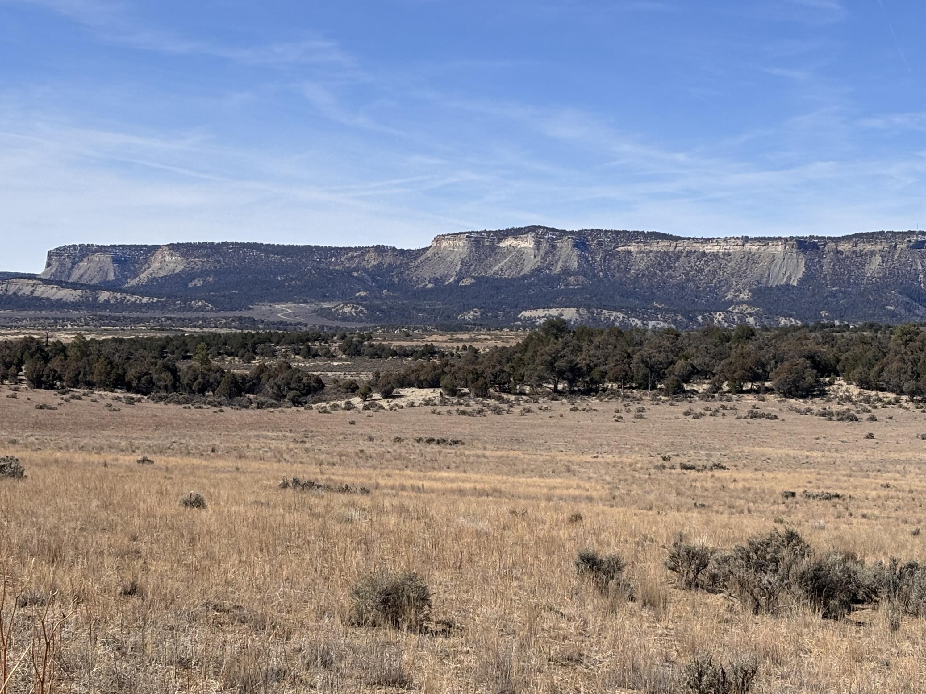 Unit 6 Lot 66 El Vado Lake Subd., Tierra Amarilla, New Mexico image 5