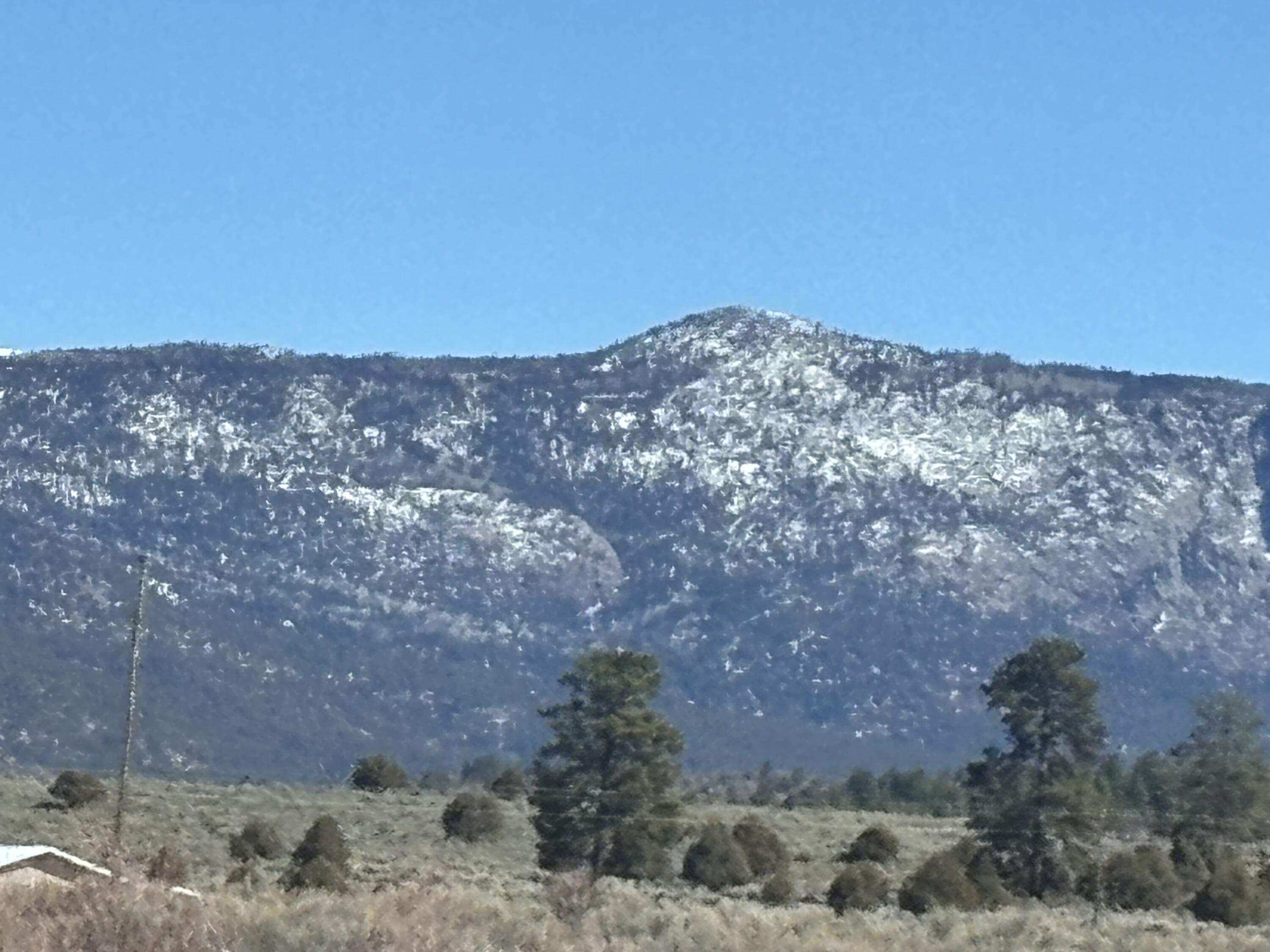 Unit 6 Lot 66 El Vado Lake Subd., Tierra Amarilla, New Mexico image 16