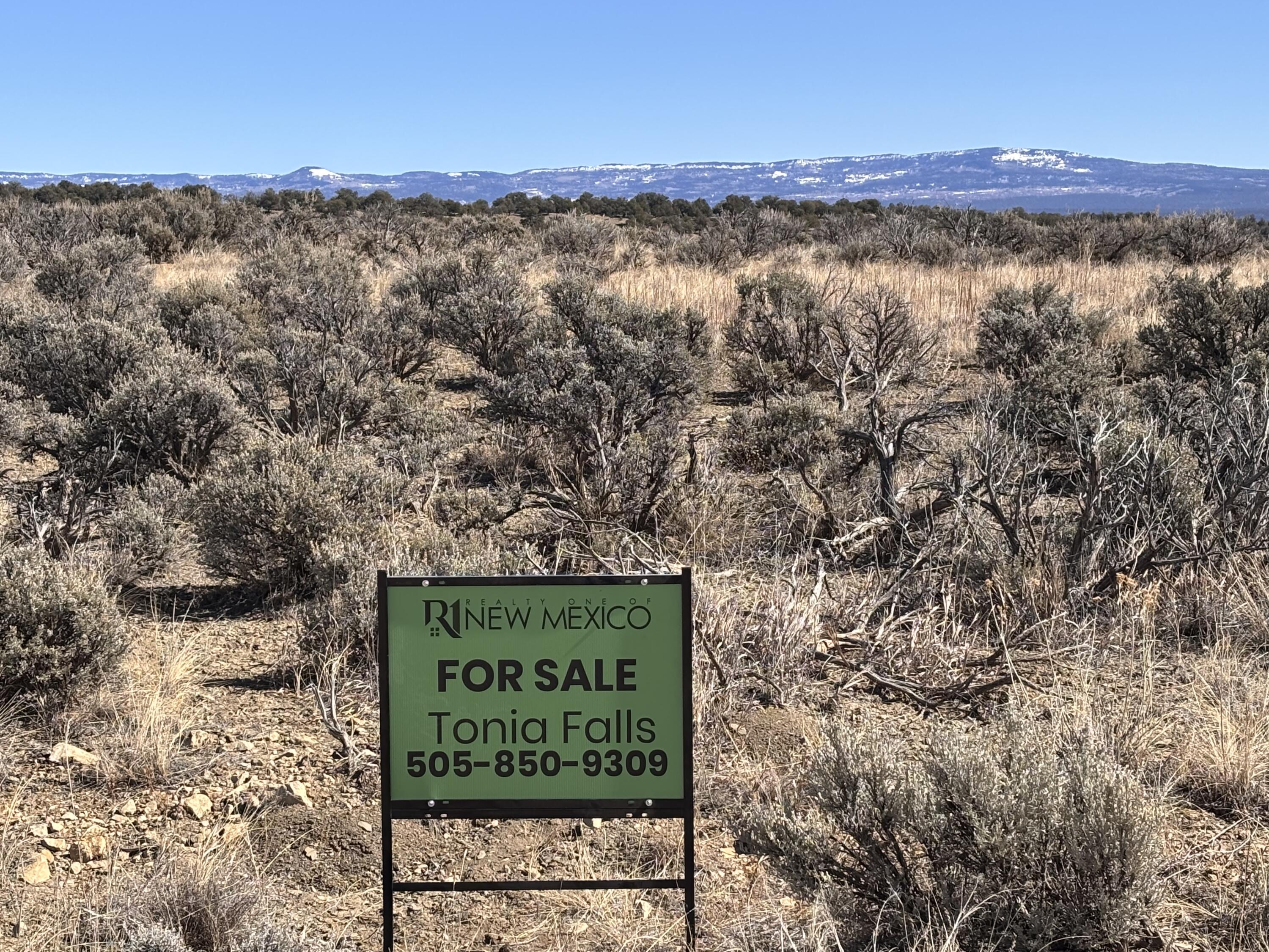Unit 6 Lot 66 El Vado Lake Subd., Tierra Amarilla, New Mexico image 3