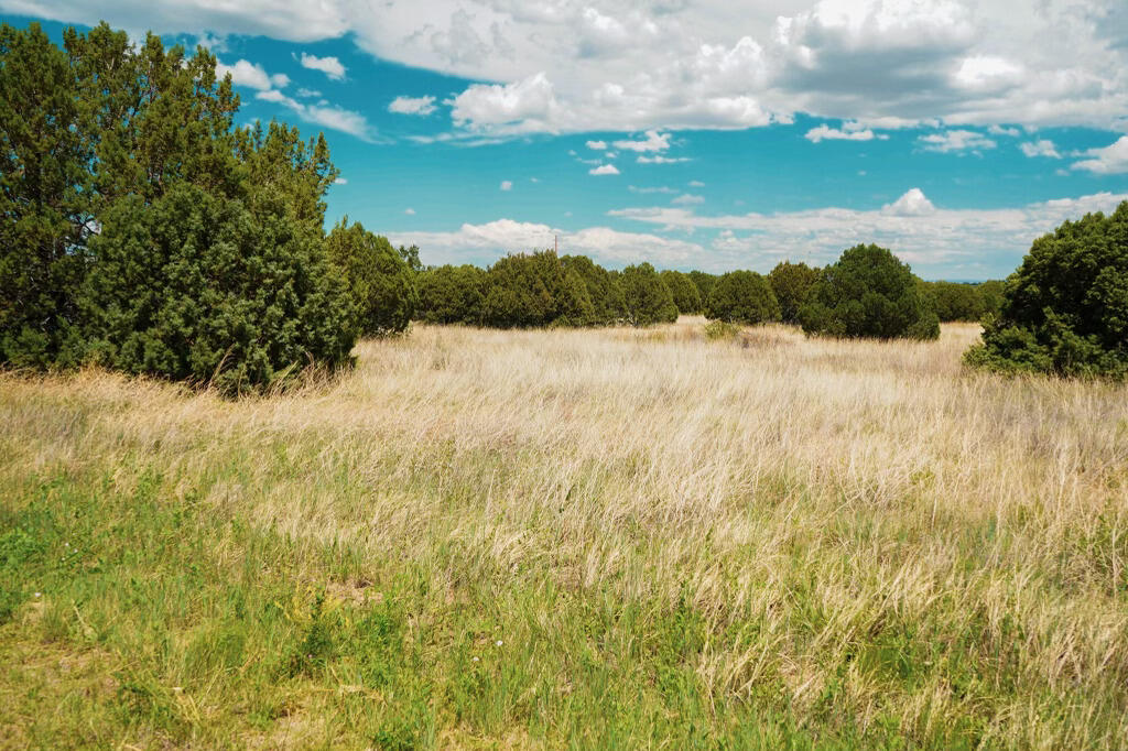 40 Rohrer Place, Tijeras, New Mexico image 3