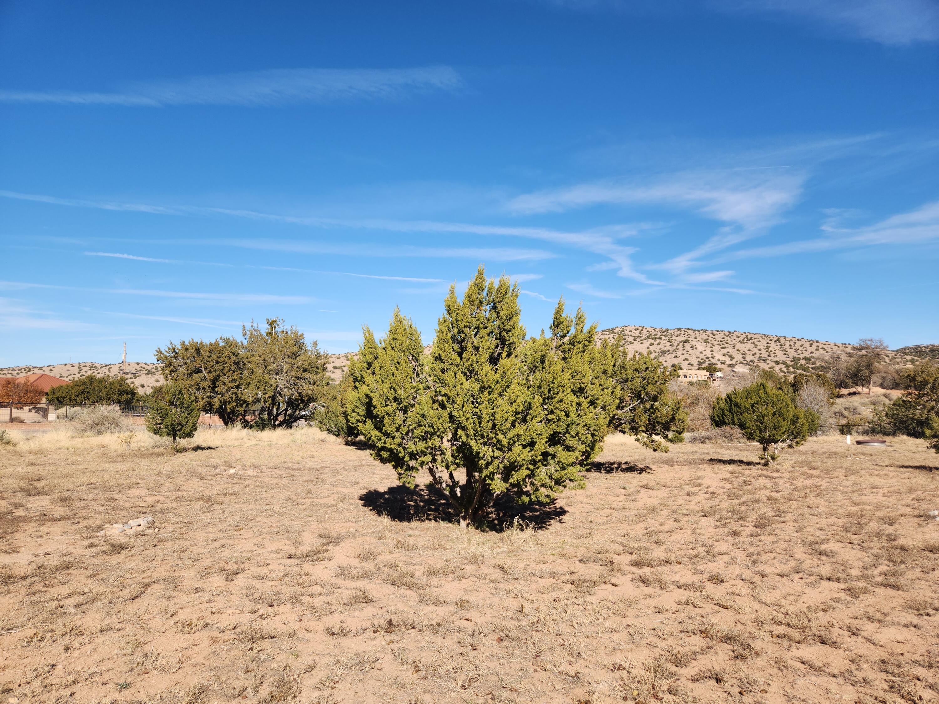 68 Camino Del Tecolote, Placitas, New Mexico image 43