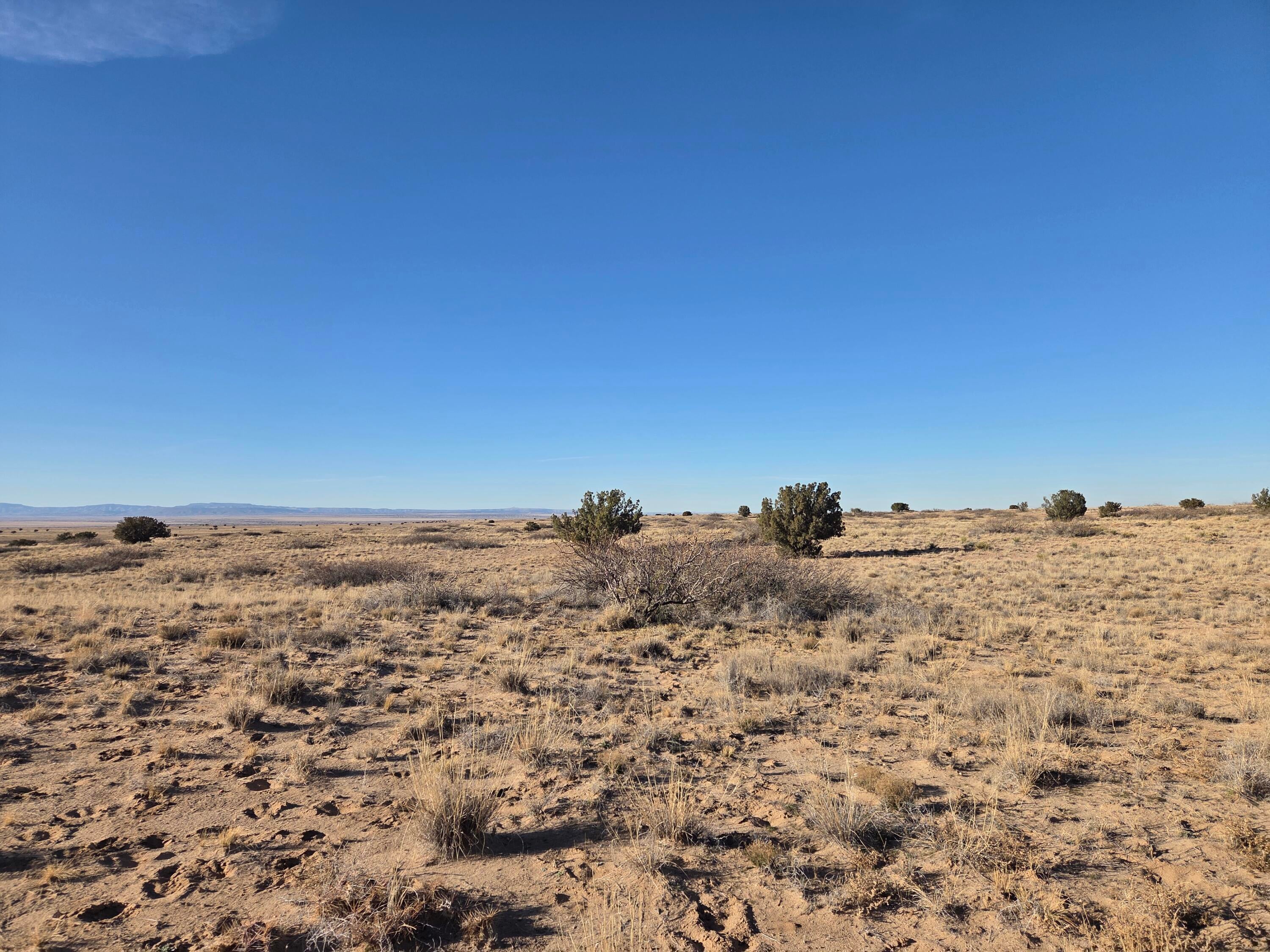 VL Rancho Rio Grande Lot 270 5