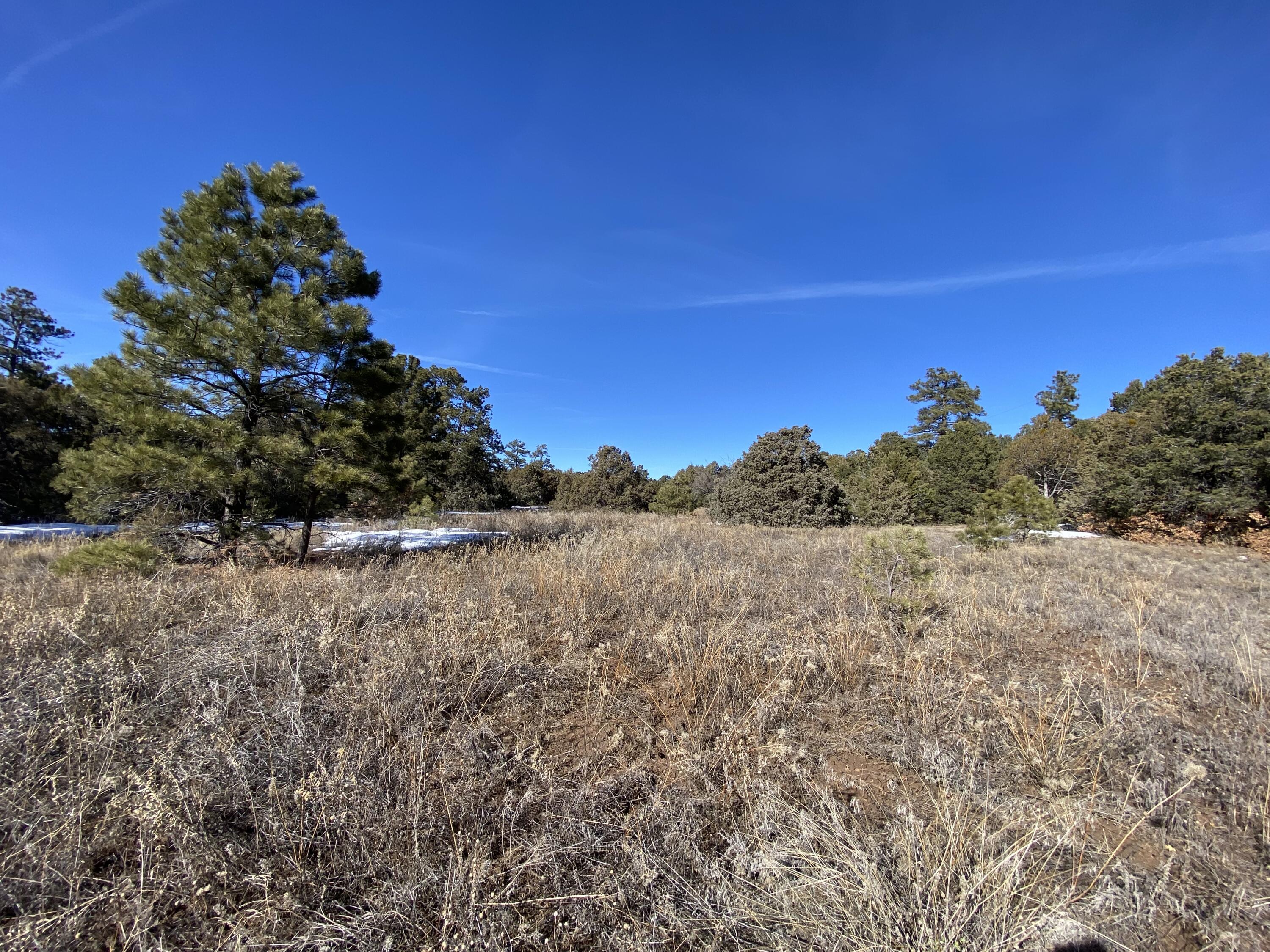 View Tijeras, NM 87059 property