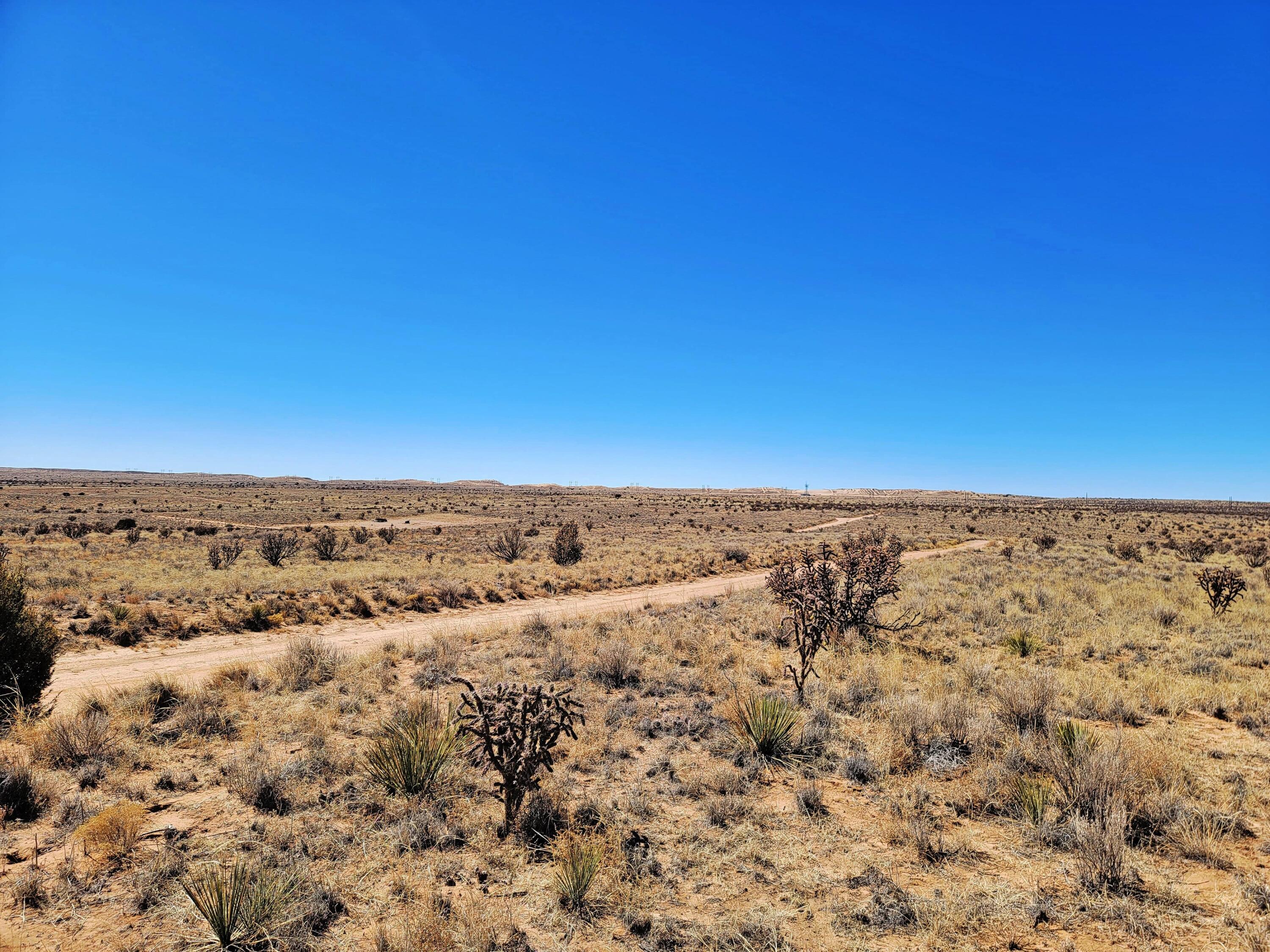 5th Avenue, Rio Rancho, New Mexico image 6