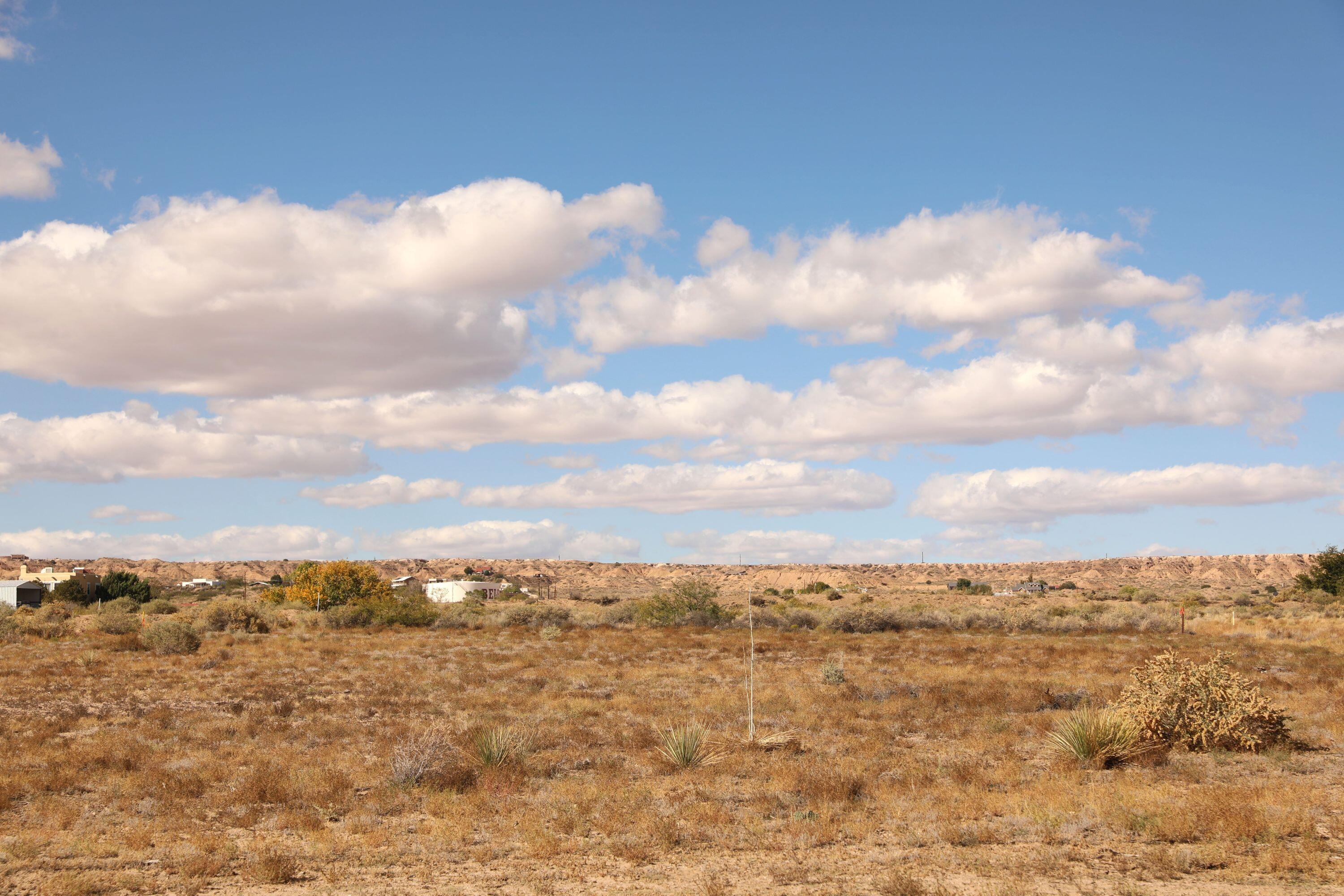 Bendito Lane, Belen, New Mexico image 20