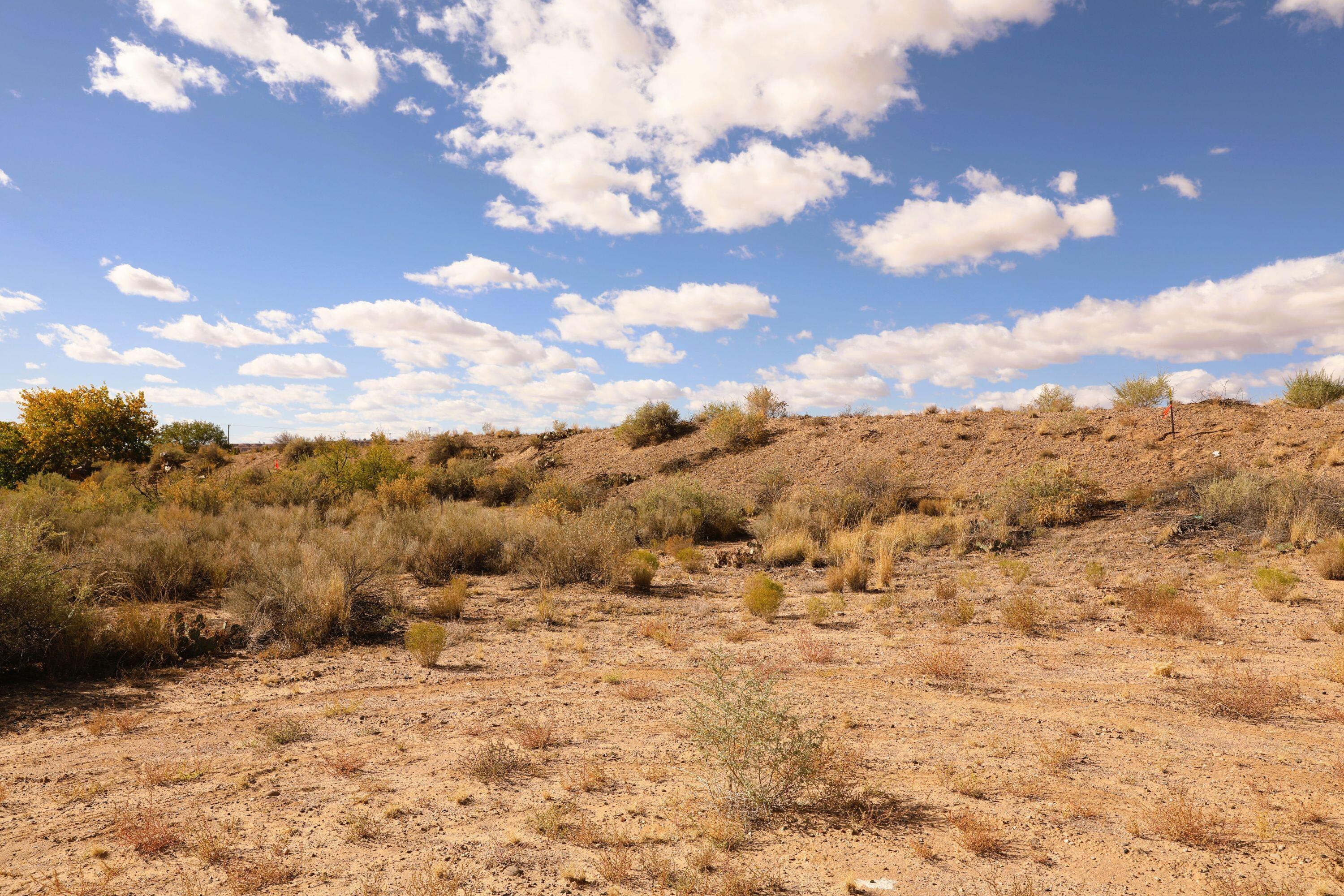 Bendito Lane, Belen, New Mexico image 19