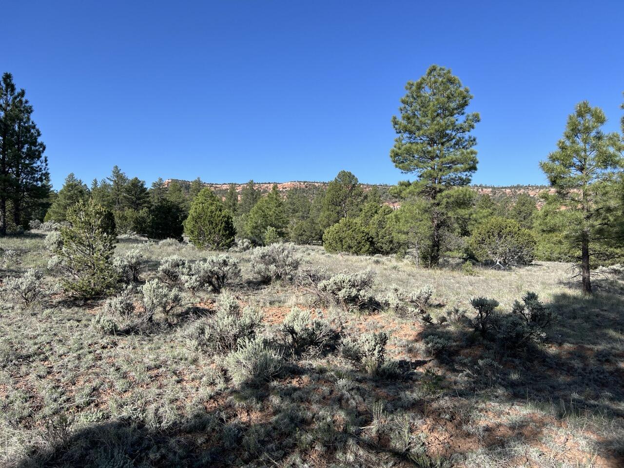 Lot 9 Sunrise Way, Ramah, New Mexico image 12