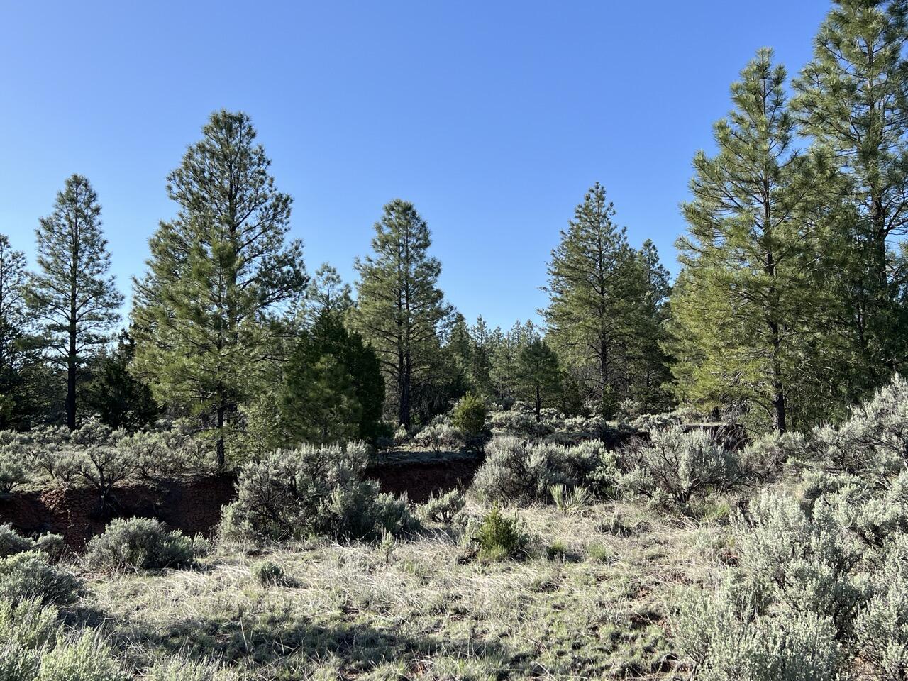 Lot 9 Sunrise Way, Ramah, New Mexico image 19