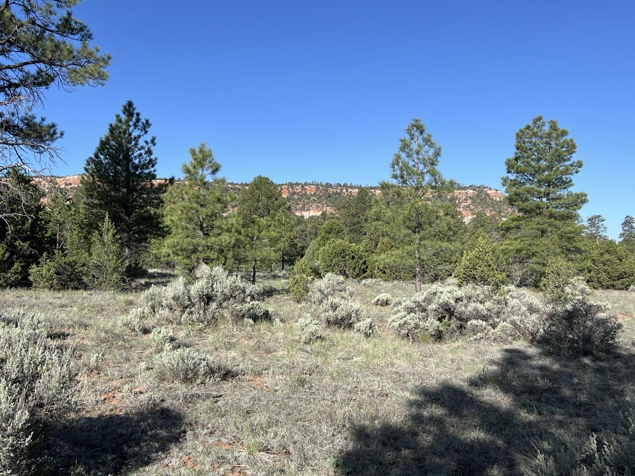 Lot 9 Sunrise Way, Ramah, New Mexico image 1