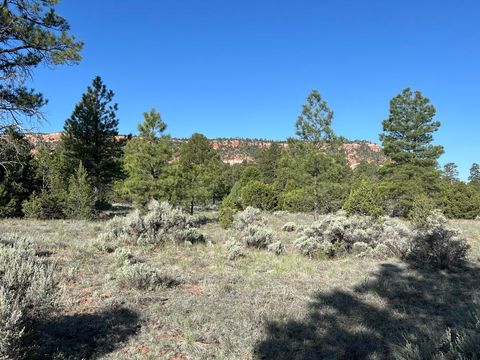 Vacant Land For Sale - LOT 9 Sunrise Way<br/> Ramah, NM 87321
