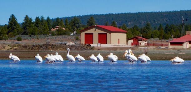 Lot 9 Sunrise Way, Ramah, New Mexico image 40