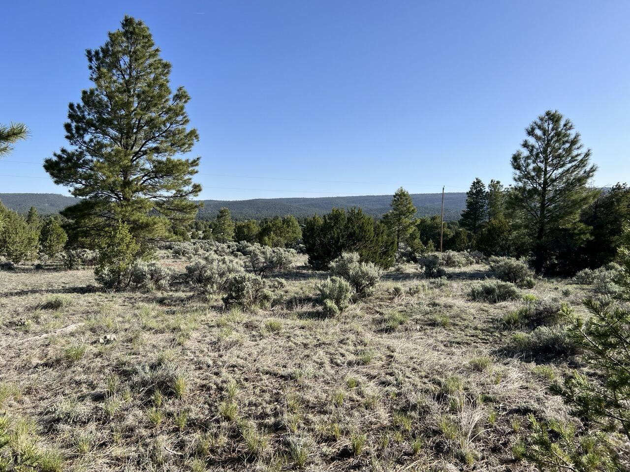 Lot 9 Sunrise Way, Ramah, New Mexico image 31