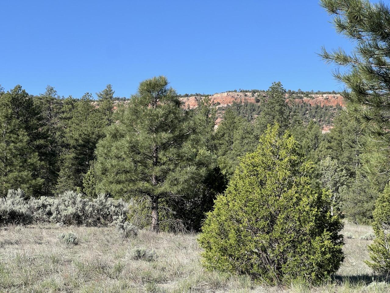 Lot 9 Sunrise Way, Ramah, New Mexico image 26