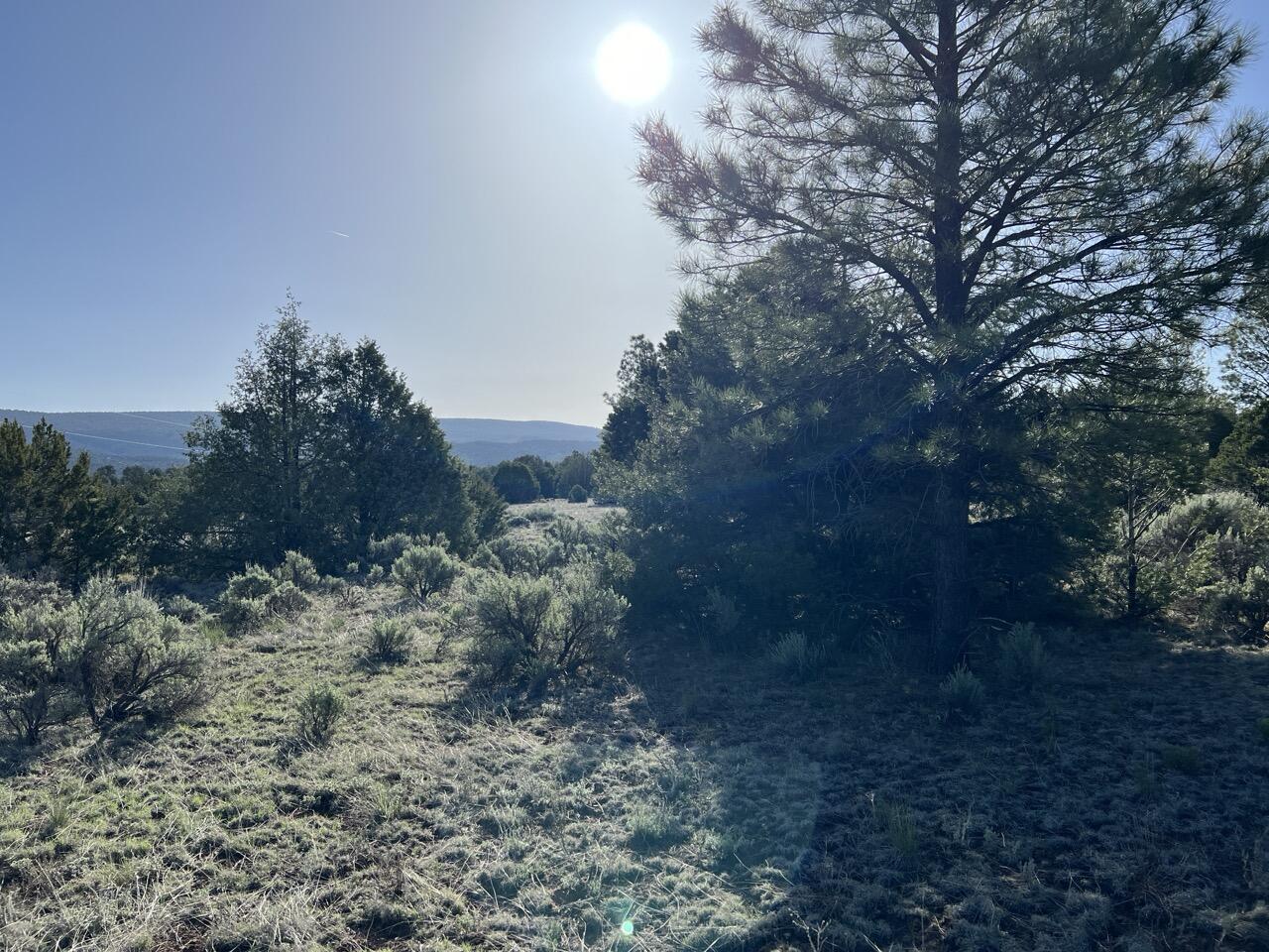 Lot 9 Sunrise Way, Ramah, New Mexico image 13