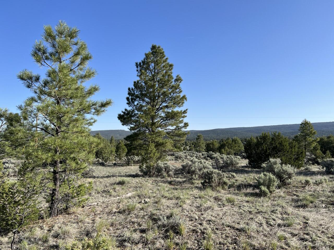 Lot 9 Sunrise Way, Ramah, New Mexico image 32