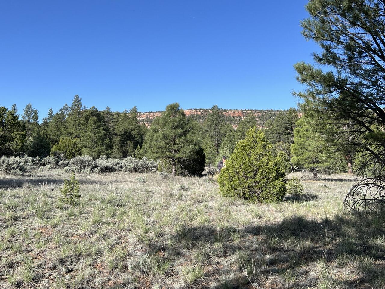 Lot 9 Sunrise Way, Ramah, New Mexico image 24