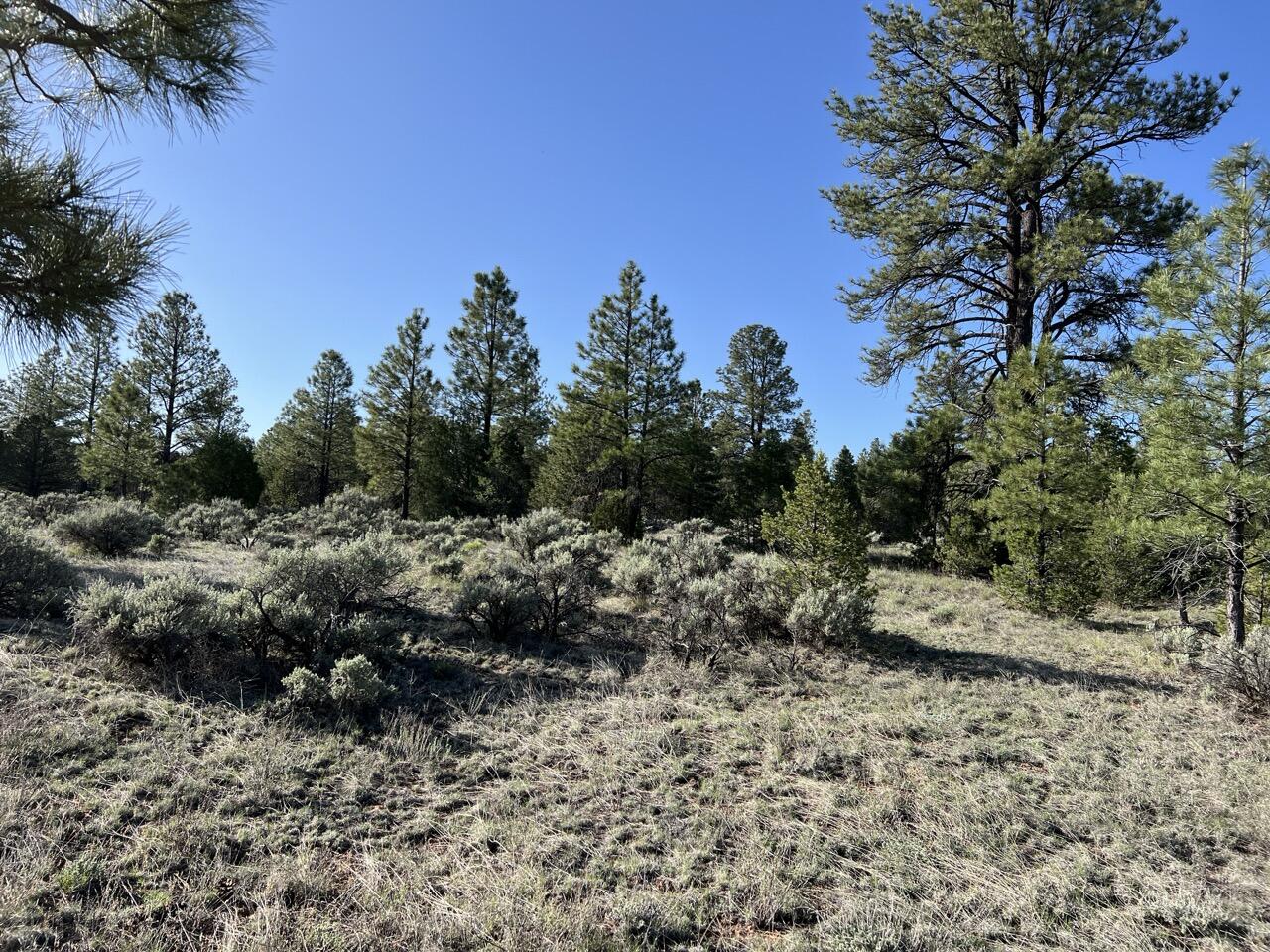 Lot 9 Sunrise Way, Ramah, New Mexico image 7