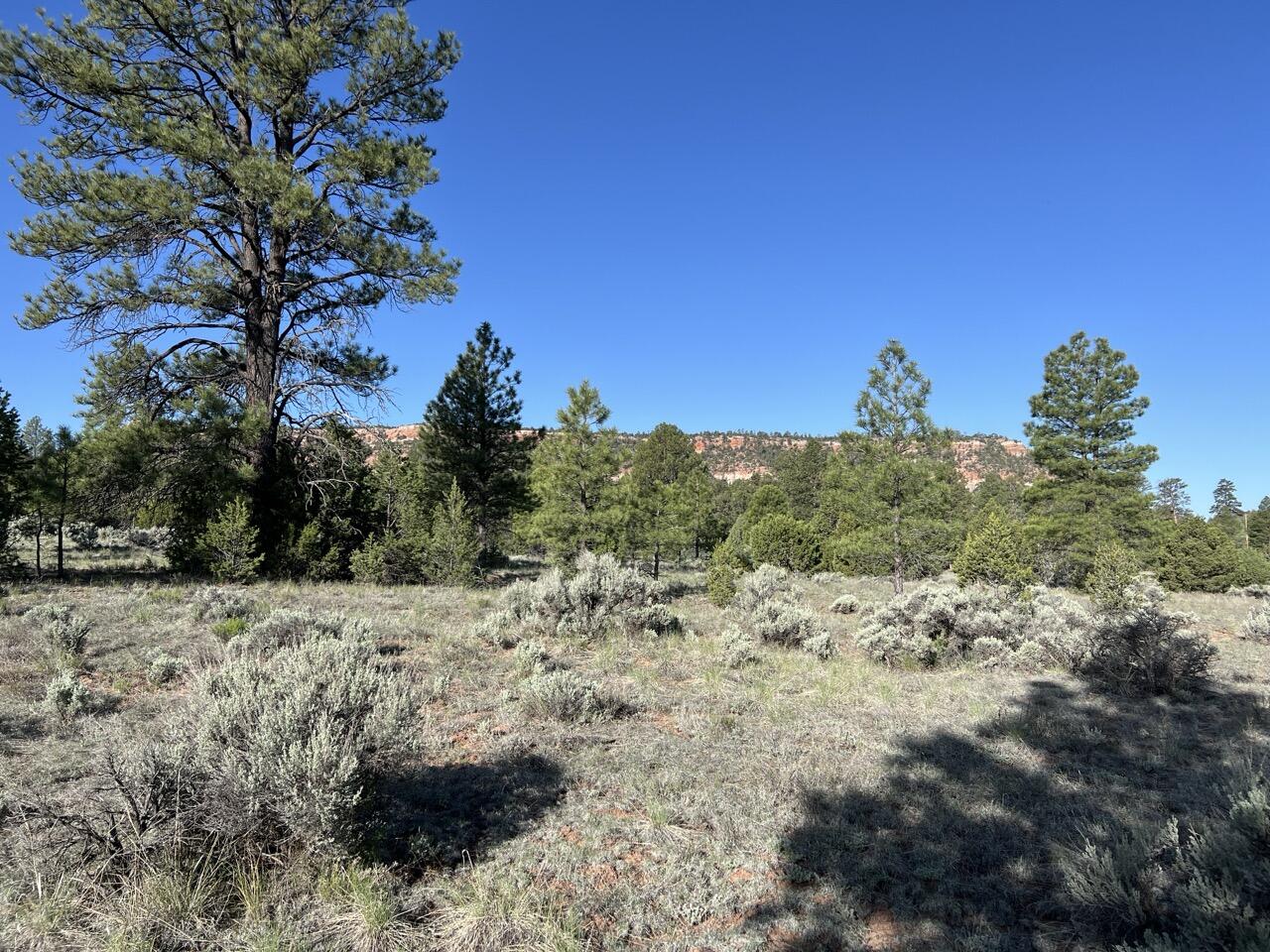 Lot 9 Sunrise Way, Ramah, New Mexico image 16