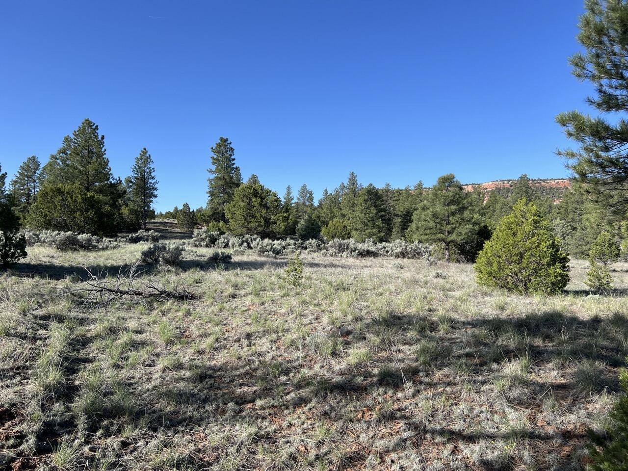 Lot 9 Sunrise Way, Ramah, New Mexico image 25