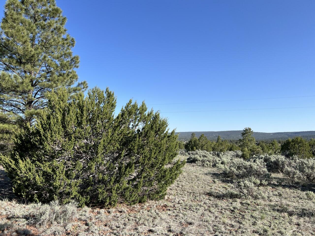 Lot 9 Sunrise Way, Ramah, New Mexico image 15