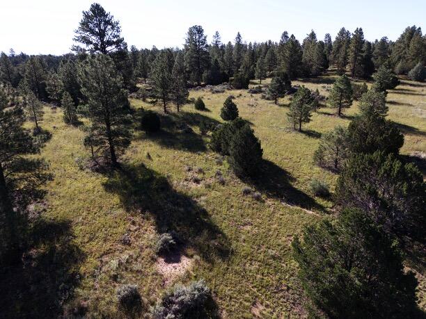 Lot 9 Sunrise Way, Ramah, New Mexico image 4