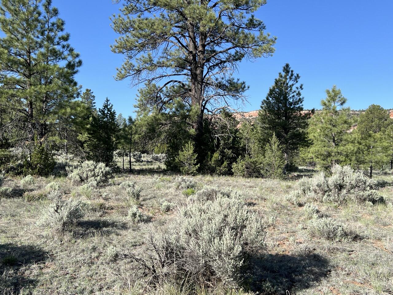 Lot 9 Sunrise Way, Ramah, New Mexico image 17