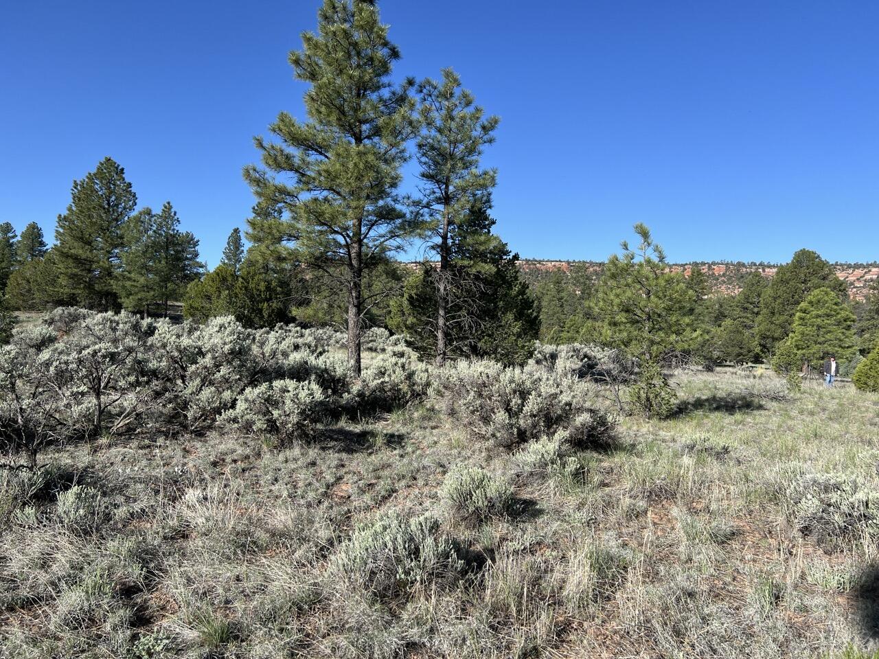 Lot 9 Sunrise Way, Ramah, New Mexico image 30