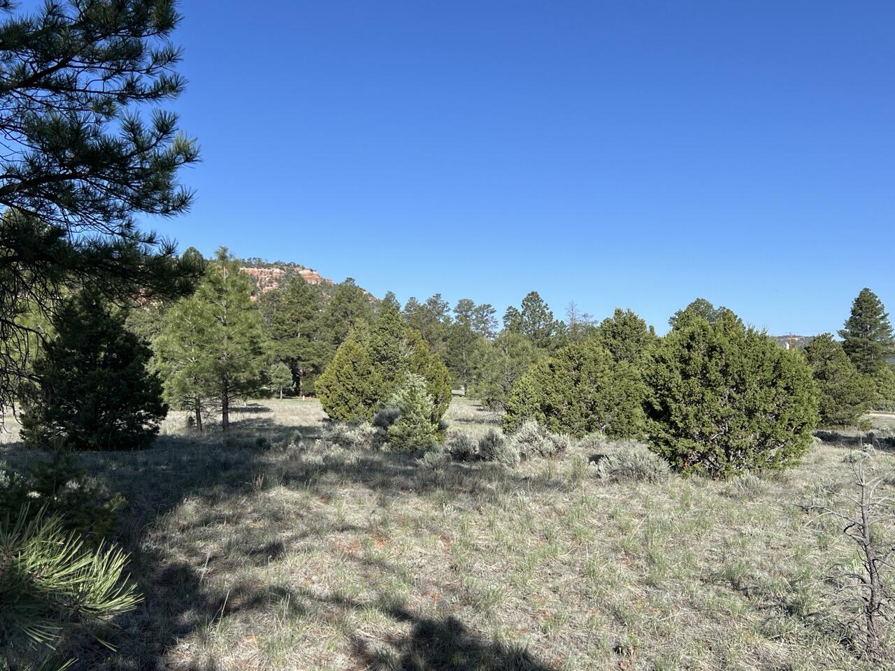 Lot 9 Sunrise Way, Ramah, New Mexico image 22