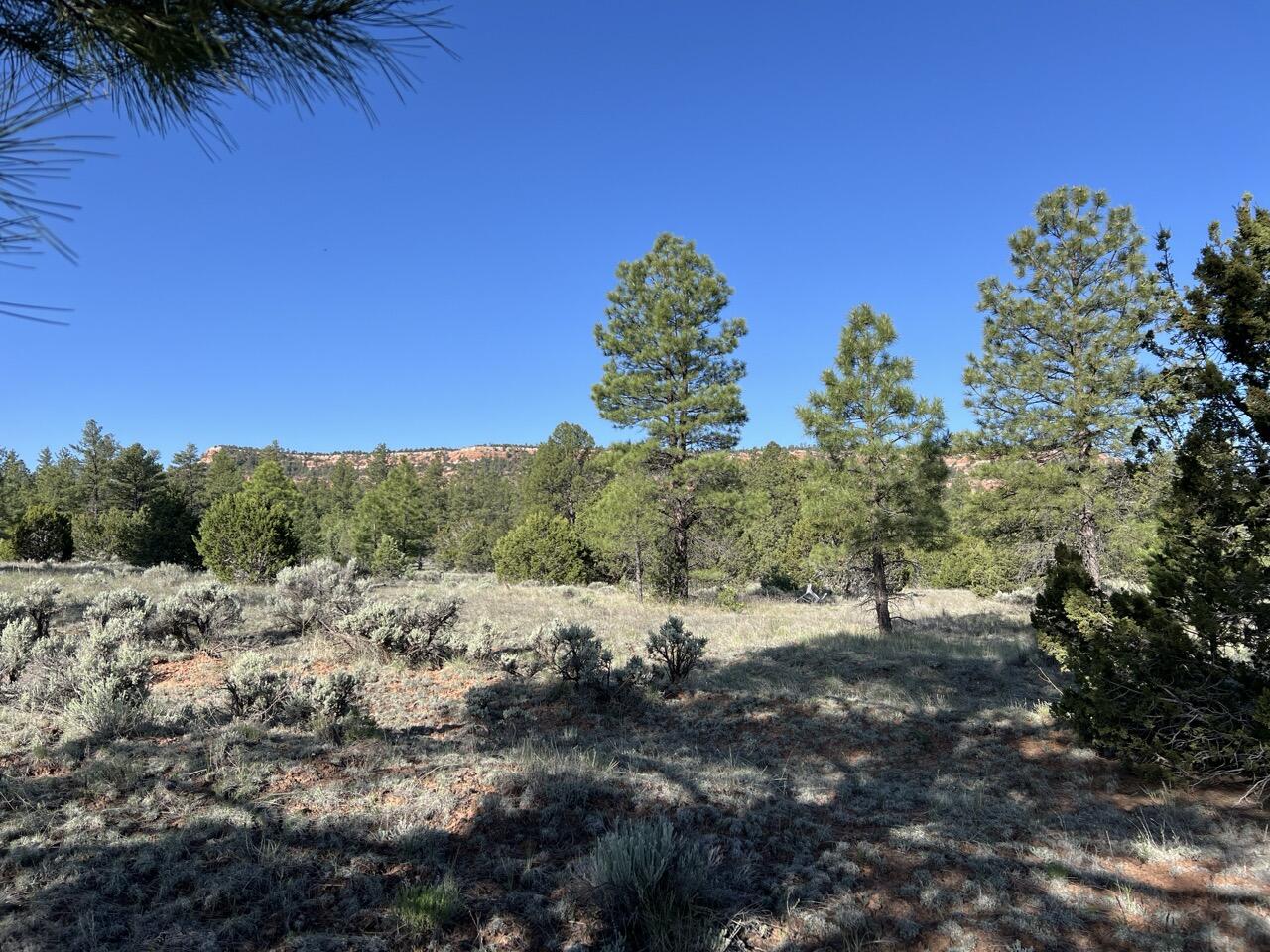 Lot 9 Sunrise Way, Ramah, New Mexico image 36