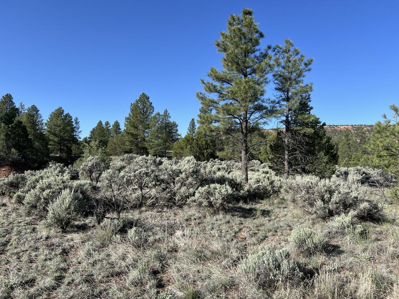 Lot 9 Sunrise Way, Ramah, New Mexico image 28