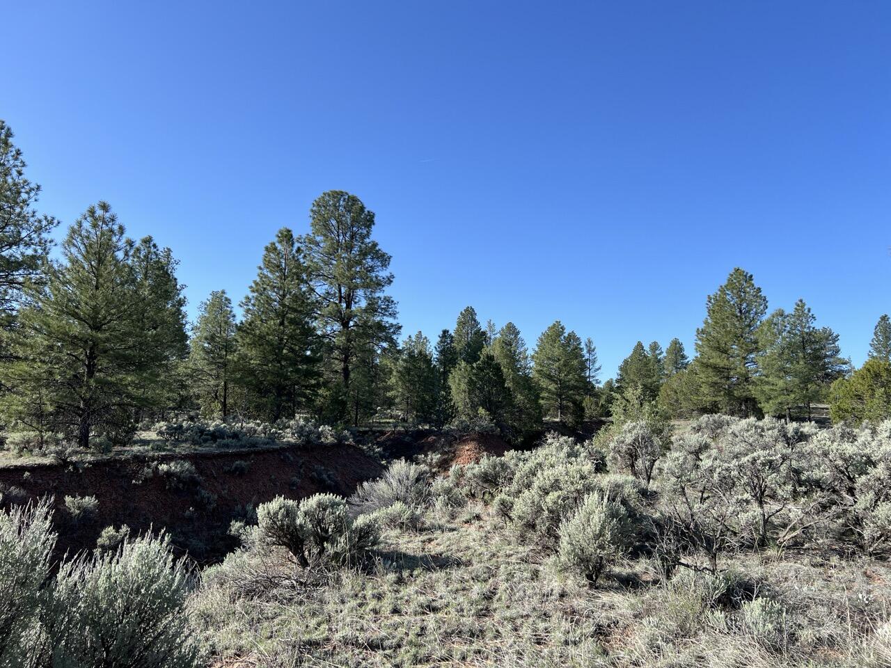 Lot 9 Sunrise Way, Ramah, New Mexico image 27