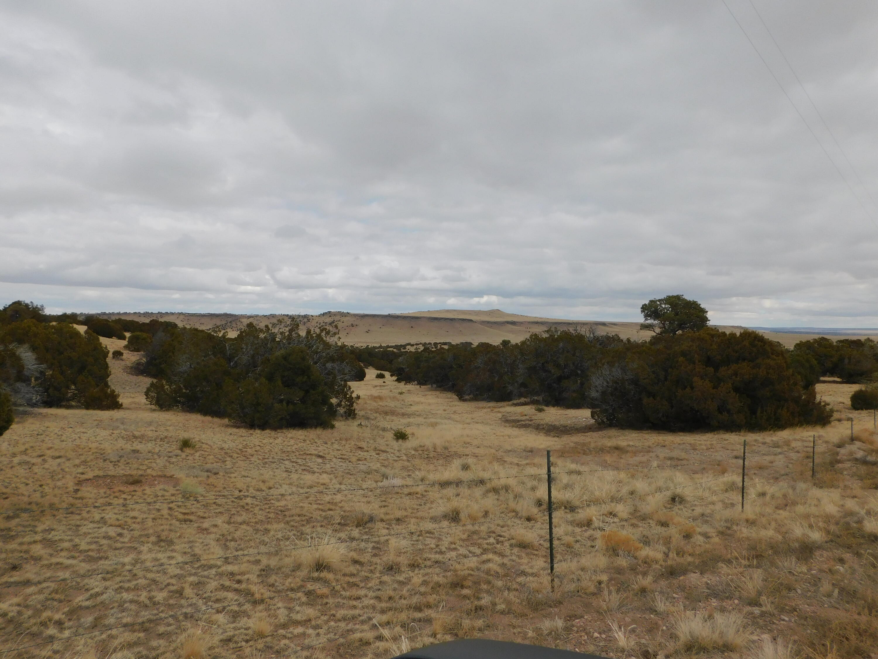 52 & 62 Wildflower Trail, Quemado, New Mexico image 18