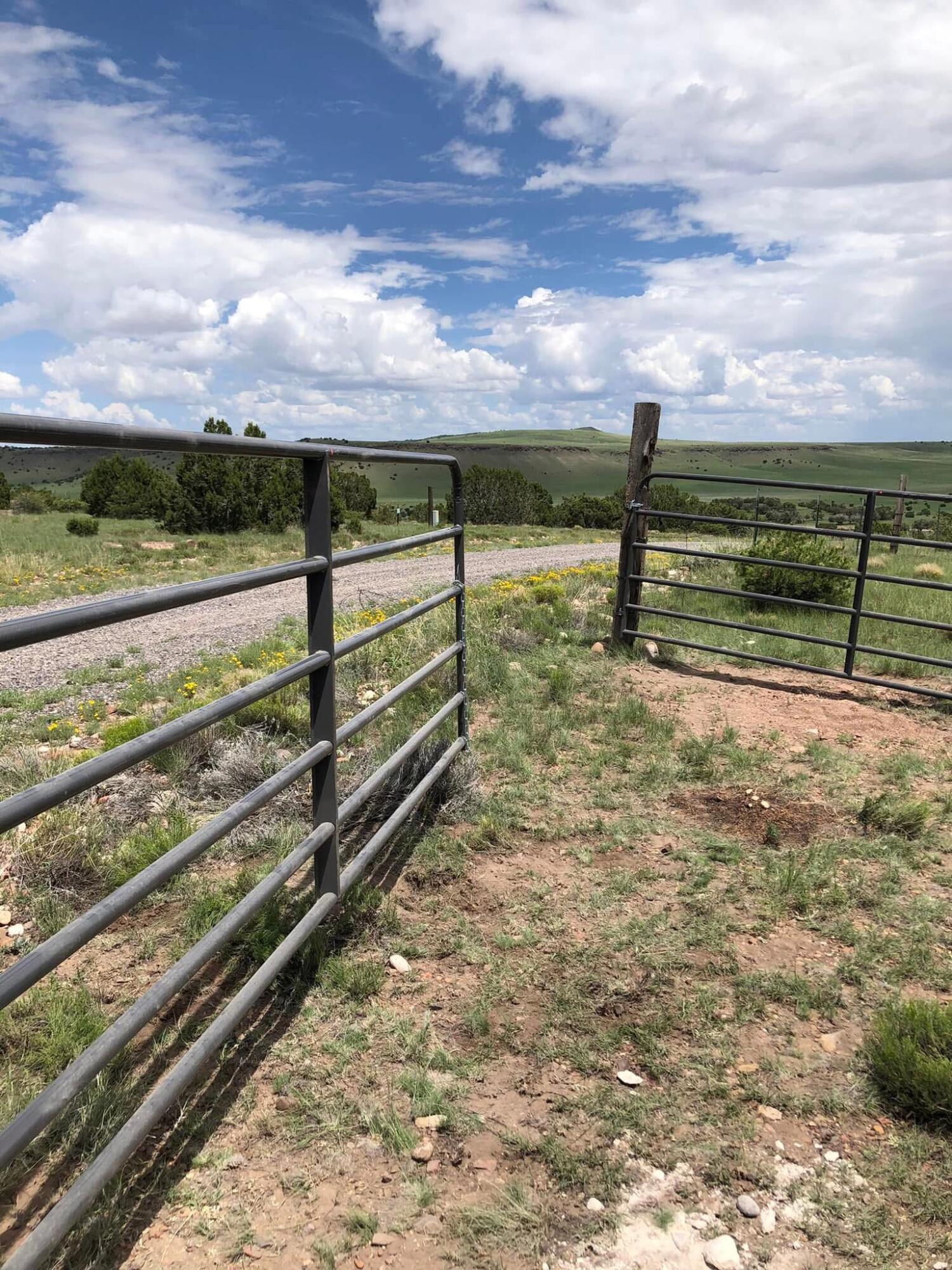 52 & 62 Wildflower Trail, Quemado, New Mexico image 7