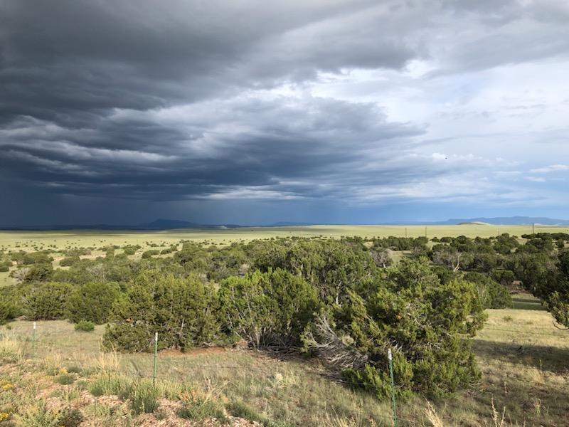 52 & 62 Wildflower Trail, Quemado, New Mexico image 3