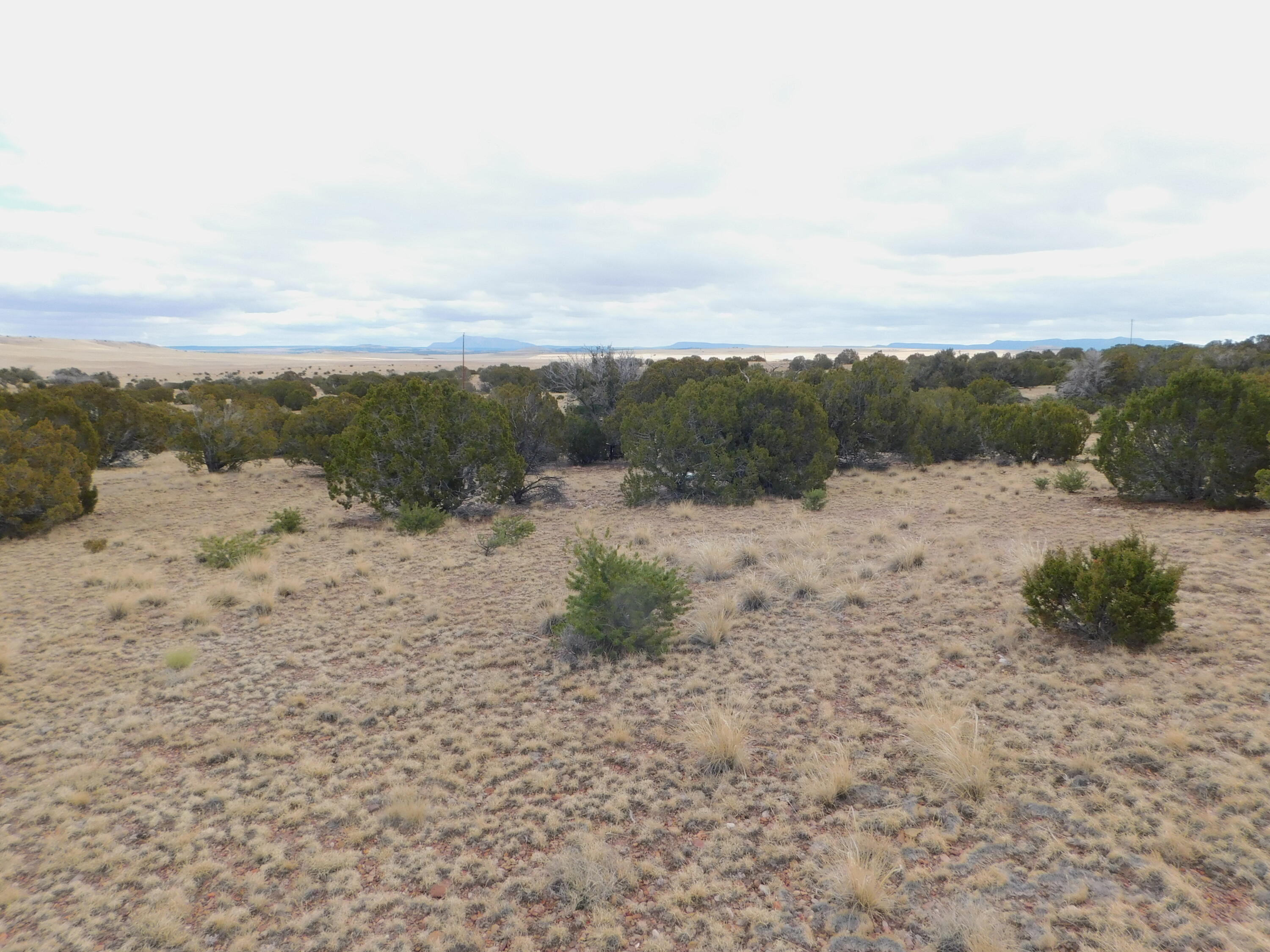 52 & 62 Wildflower Trail, Quemado, New Mexico image 11