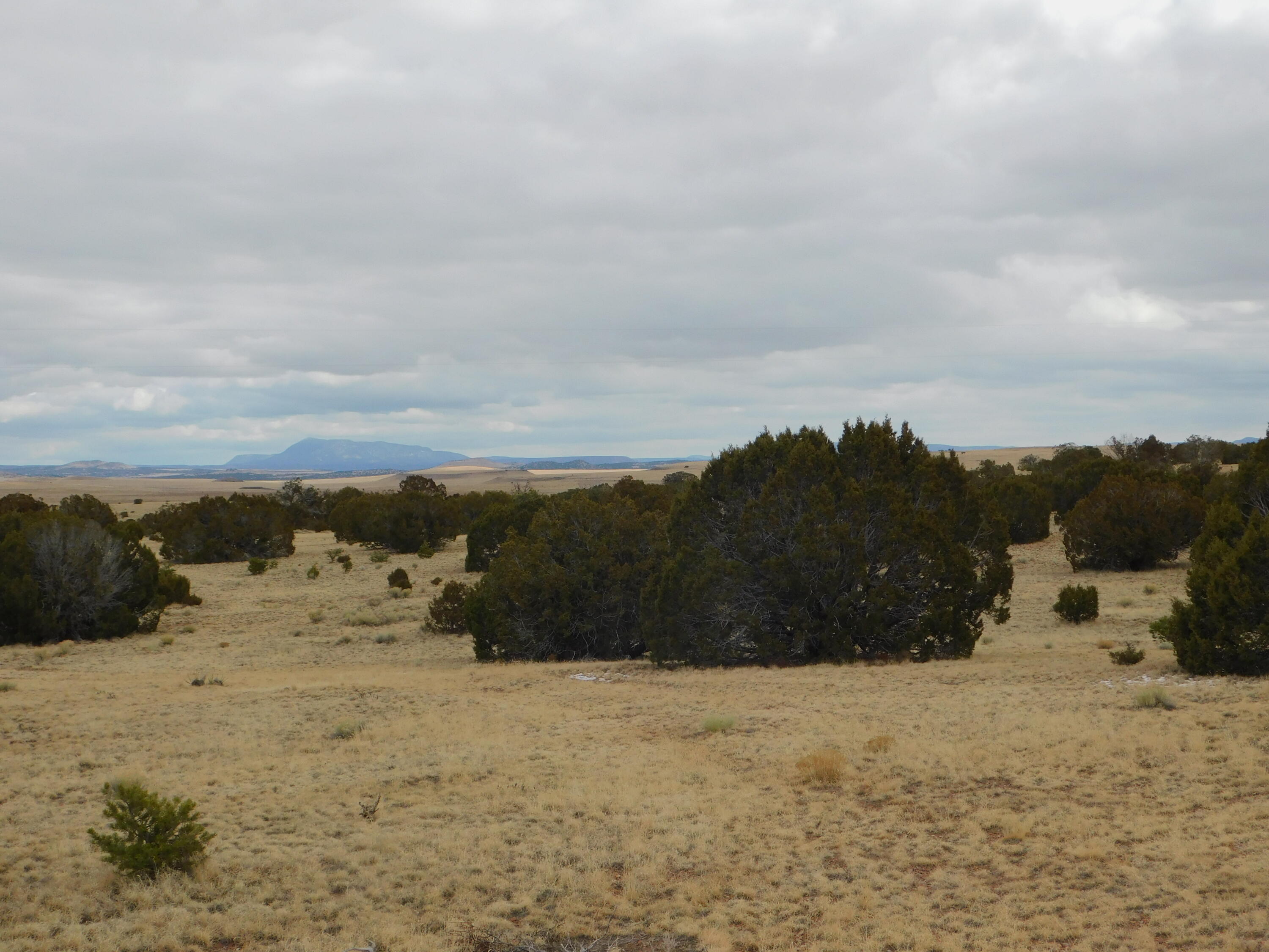 52 & 62 Wildflower Trail, Quemado, New Mexico image 14